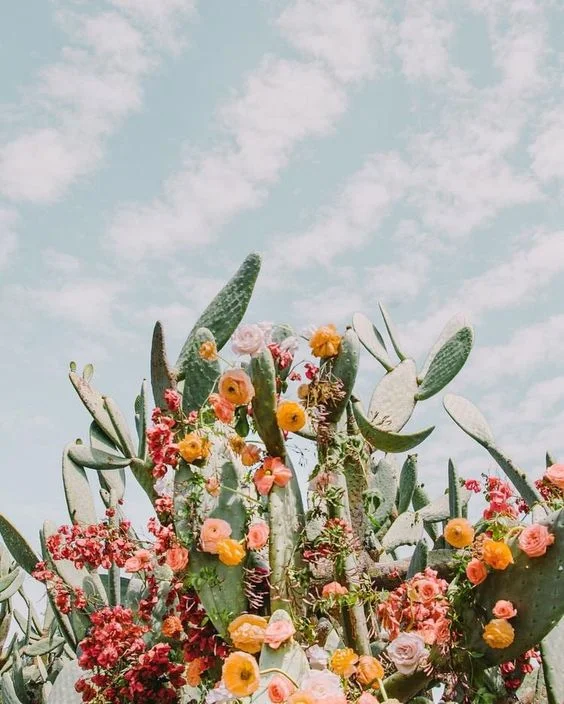 The Dame Tips: Spring Cleaning Edition