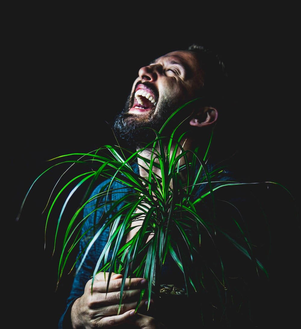 A guide to laughing at a distance