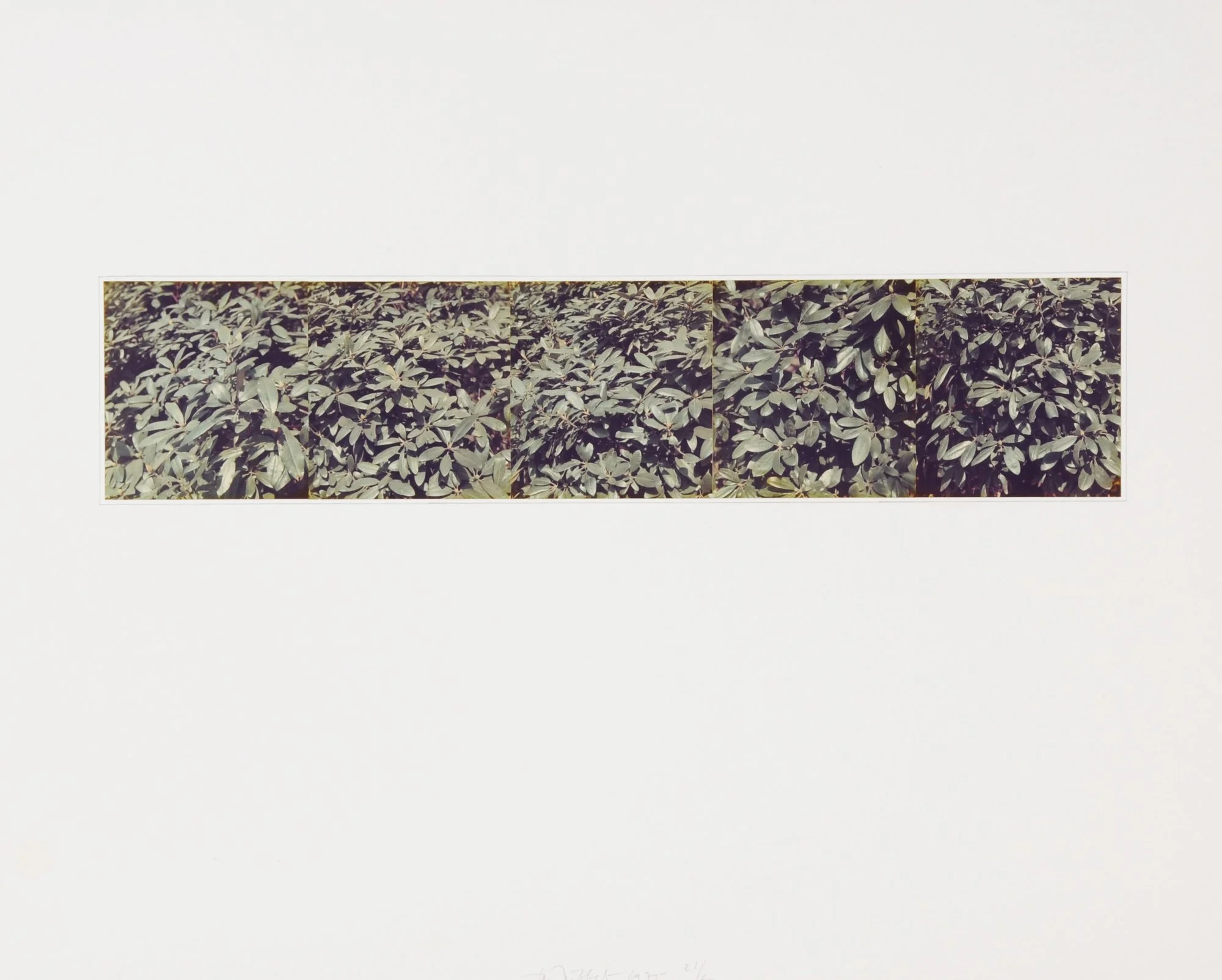   Untitled , 1973  Collage, color photograph and pencil on paper  50 x 61 cm 