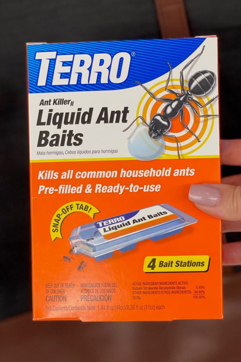 The Best Ant Traps for Your Kitchen — Useful Roots