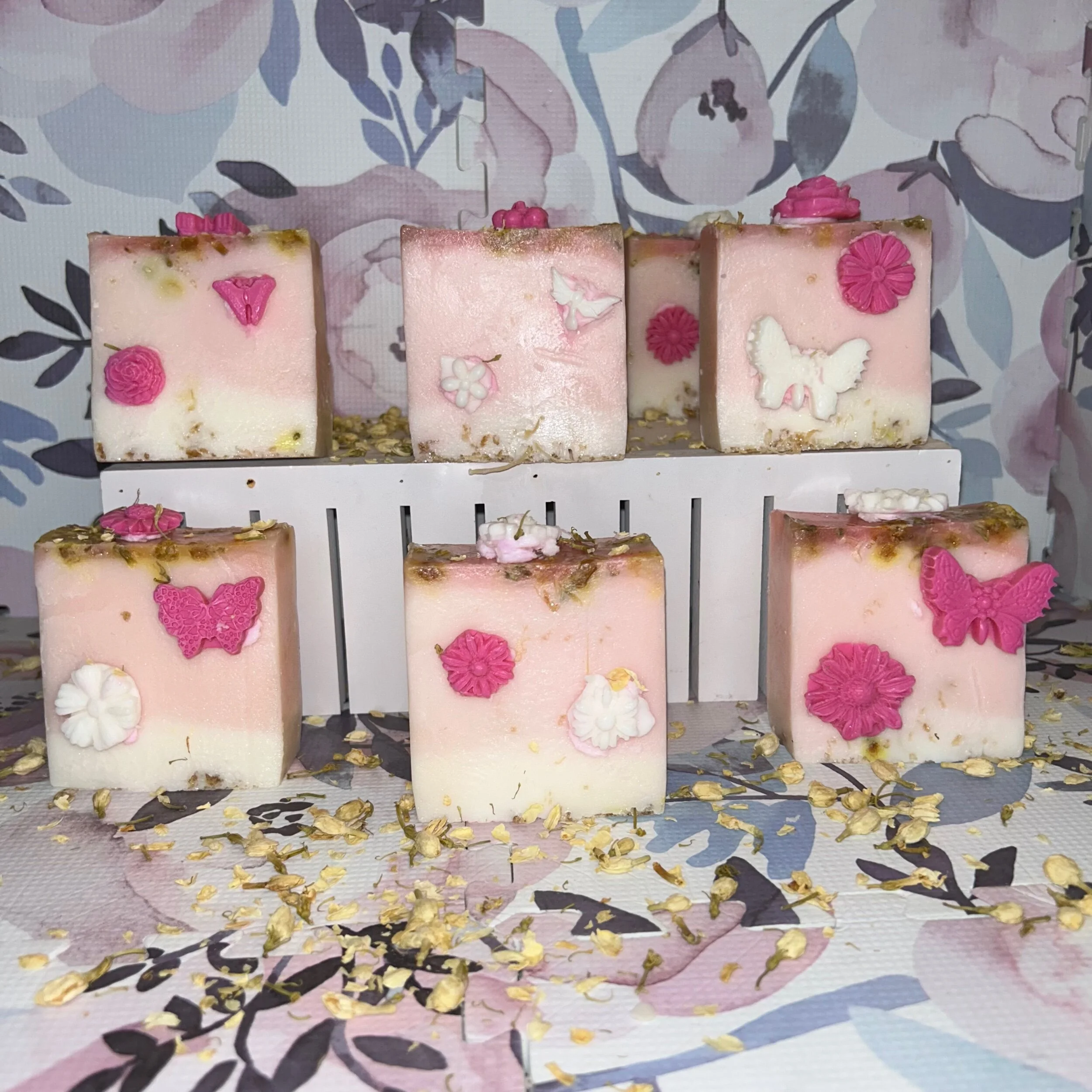 323F223C-C014-4CC8-863A-0CC4F4EE38C0