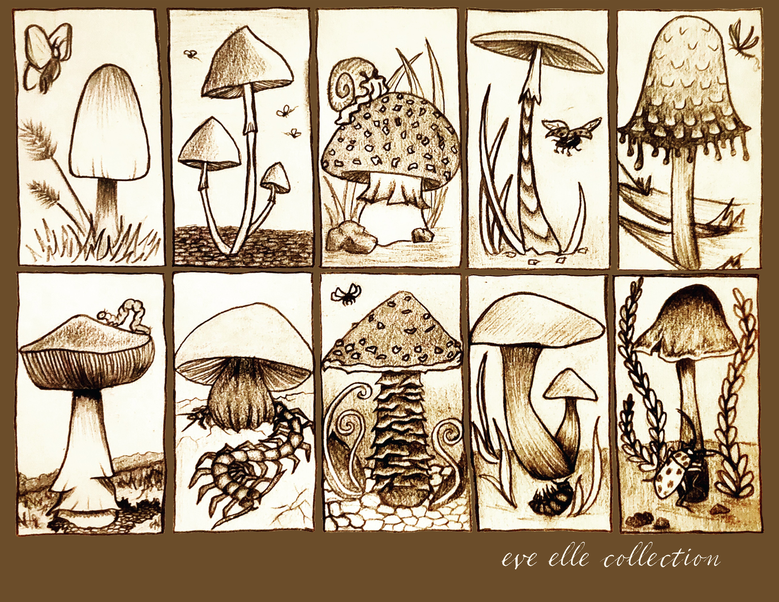 deadly mushrooms thumbnail.png