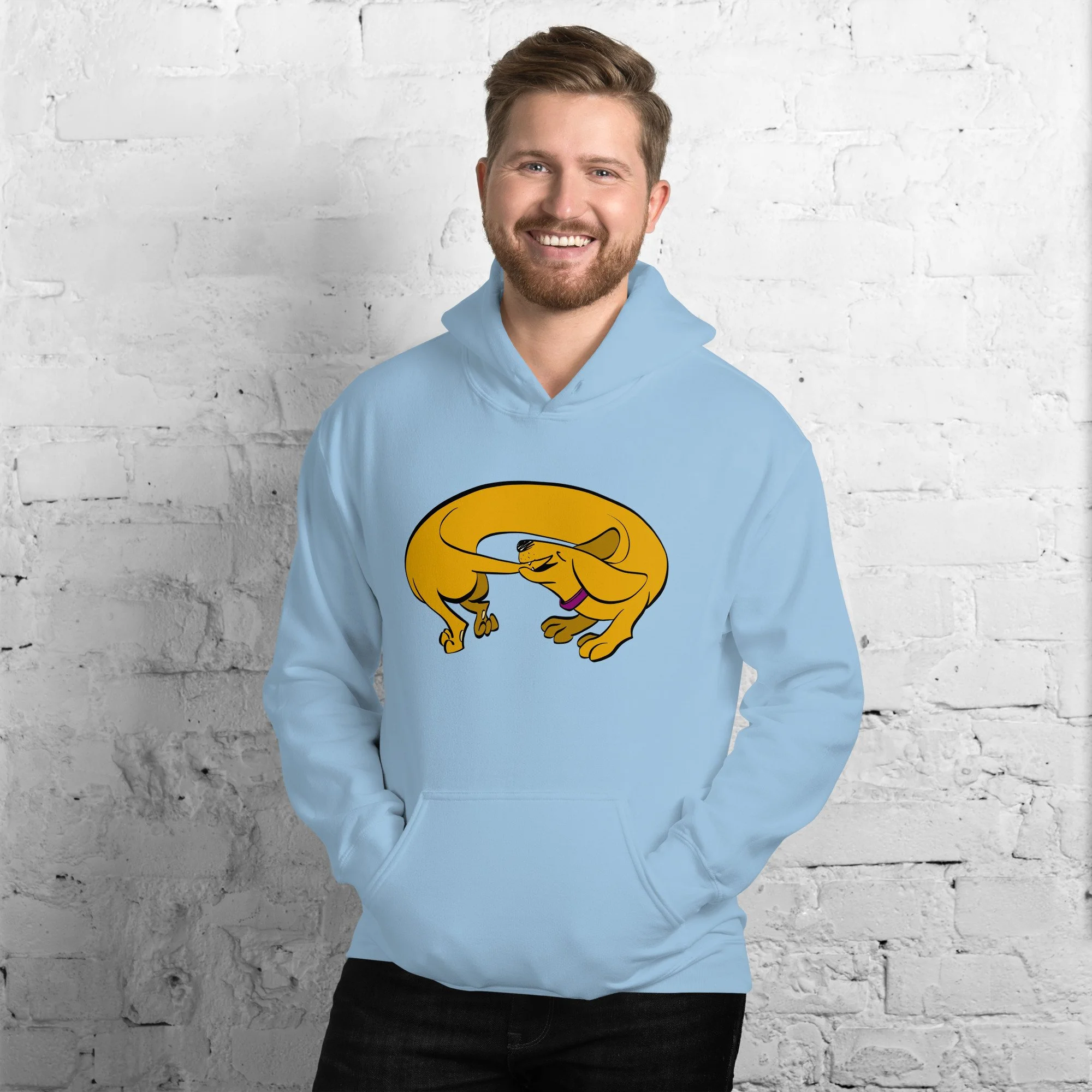 unisex-heavy-blend-hoodie-light-blue-front-65d5511a94343.jpg