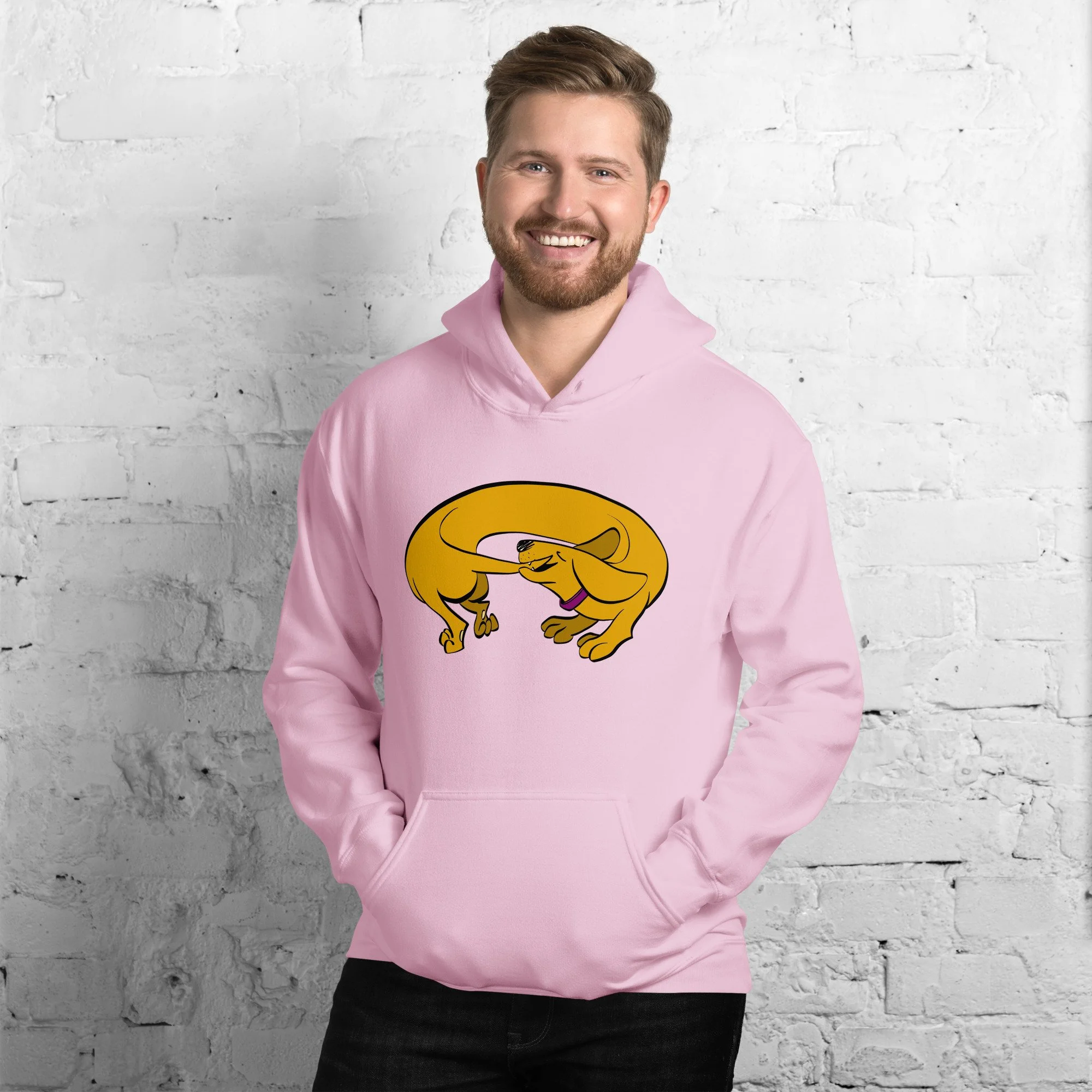 unisex-heavy-blend-hoodie-light-pink-front-65d5511a95df0.jpg