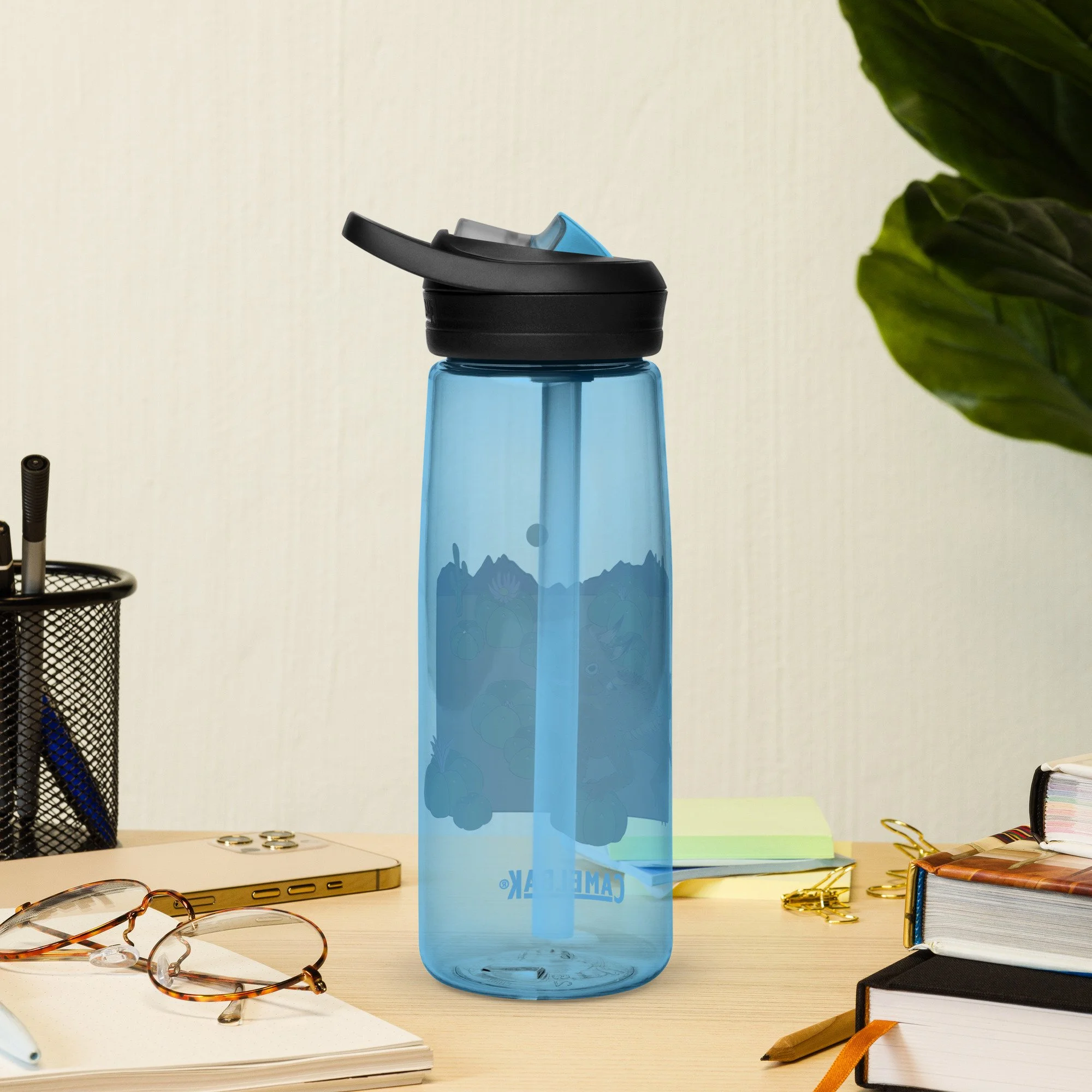 sports-water-bottle-blue-back-65ee6a366815c.jpg