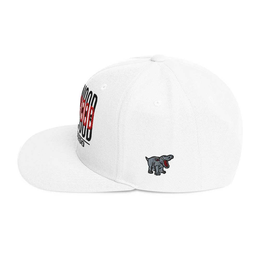classic-snapback-white-left-side-69d2ab0a7f89e.jpg
