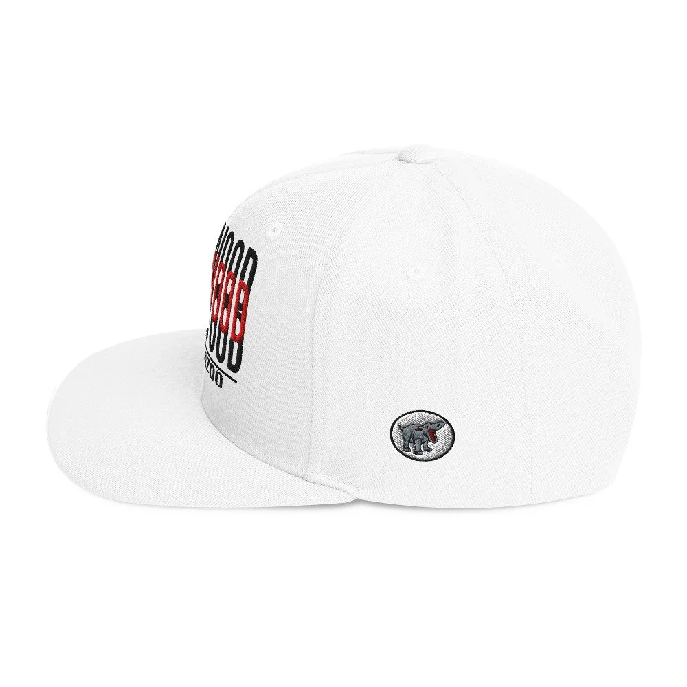 classic-snapback-white-left-side-6a0a409592b16.jpg