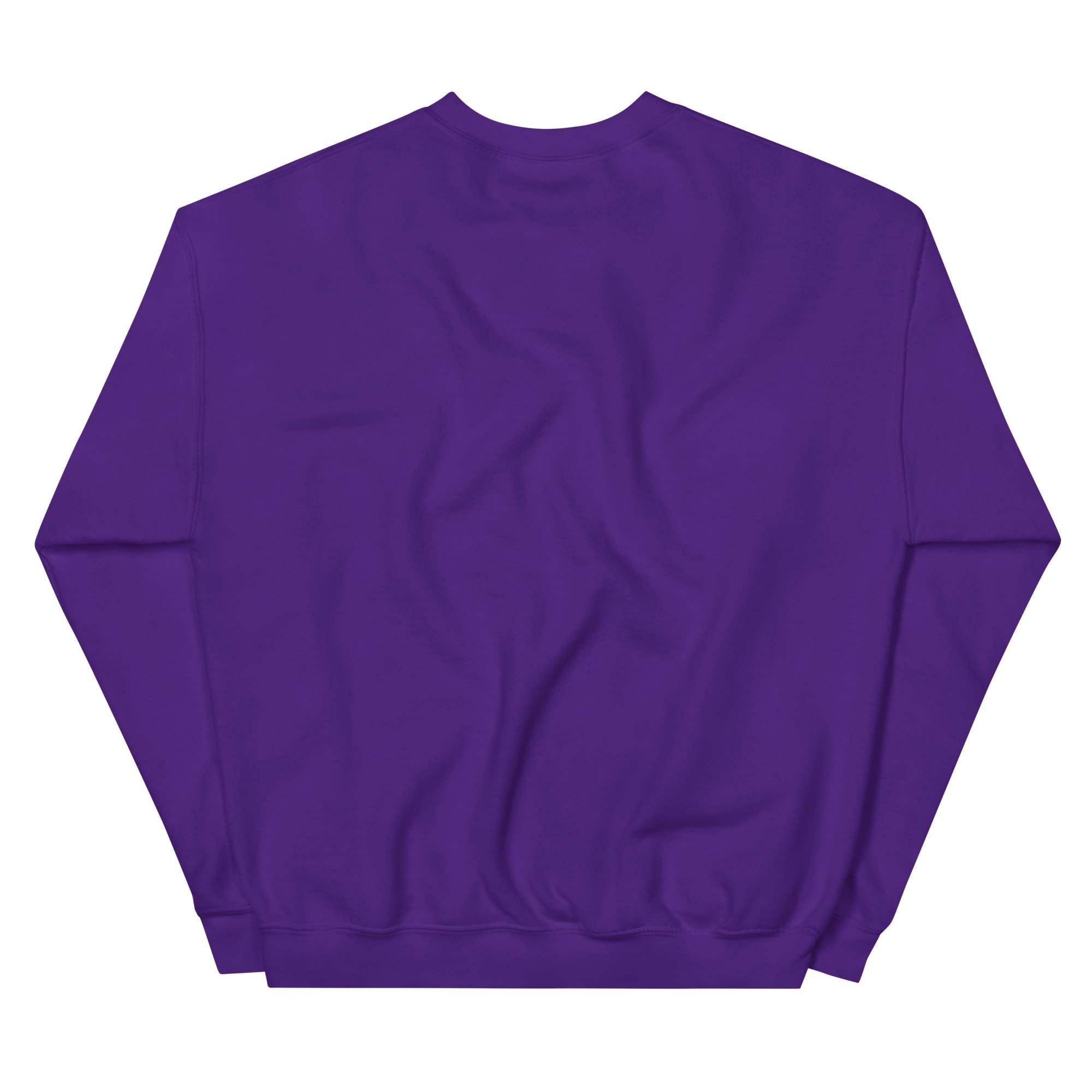 unisex-crew-neck-sweatshirt-purple-back-6a7379dd1a999.jpg