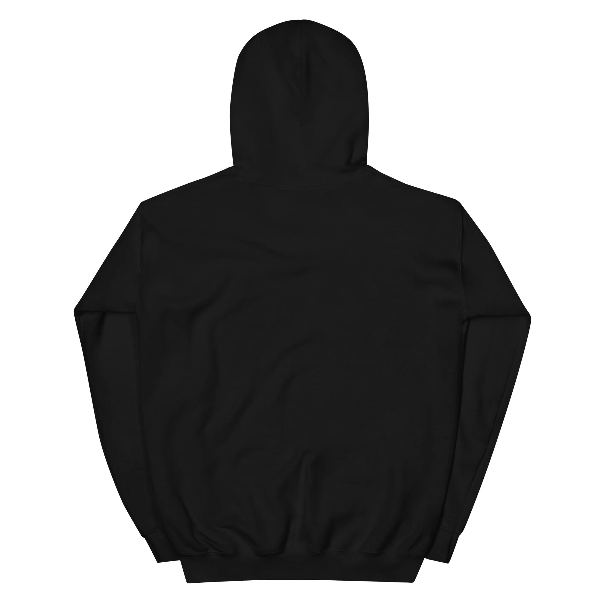 unisex-heavy-blend-hoodie-black-back-6a738e400c531.jpg