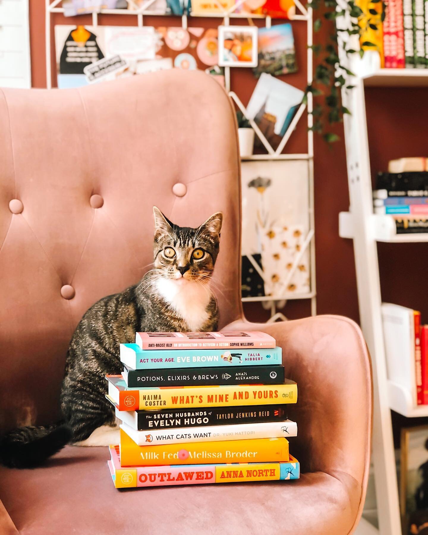 what book should i read next?

my TBR is huuuuge but this is a stack of my most recent book purchases. i&rsquo;m leaning toward What&rsquo;s Mine And Yours or Act Your Age, Even Brown, but i&rsquo;m excited about the other titles too! 

tell me what 