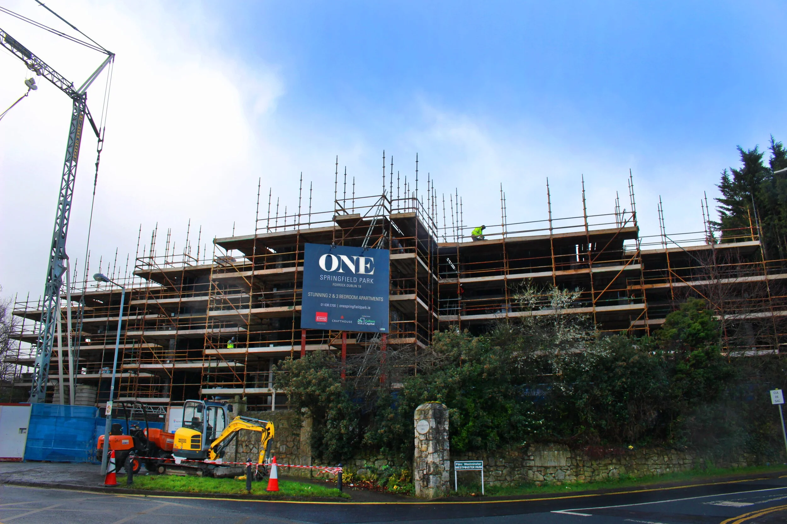 Foxrock - Pine Avenue site