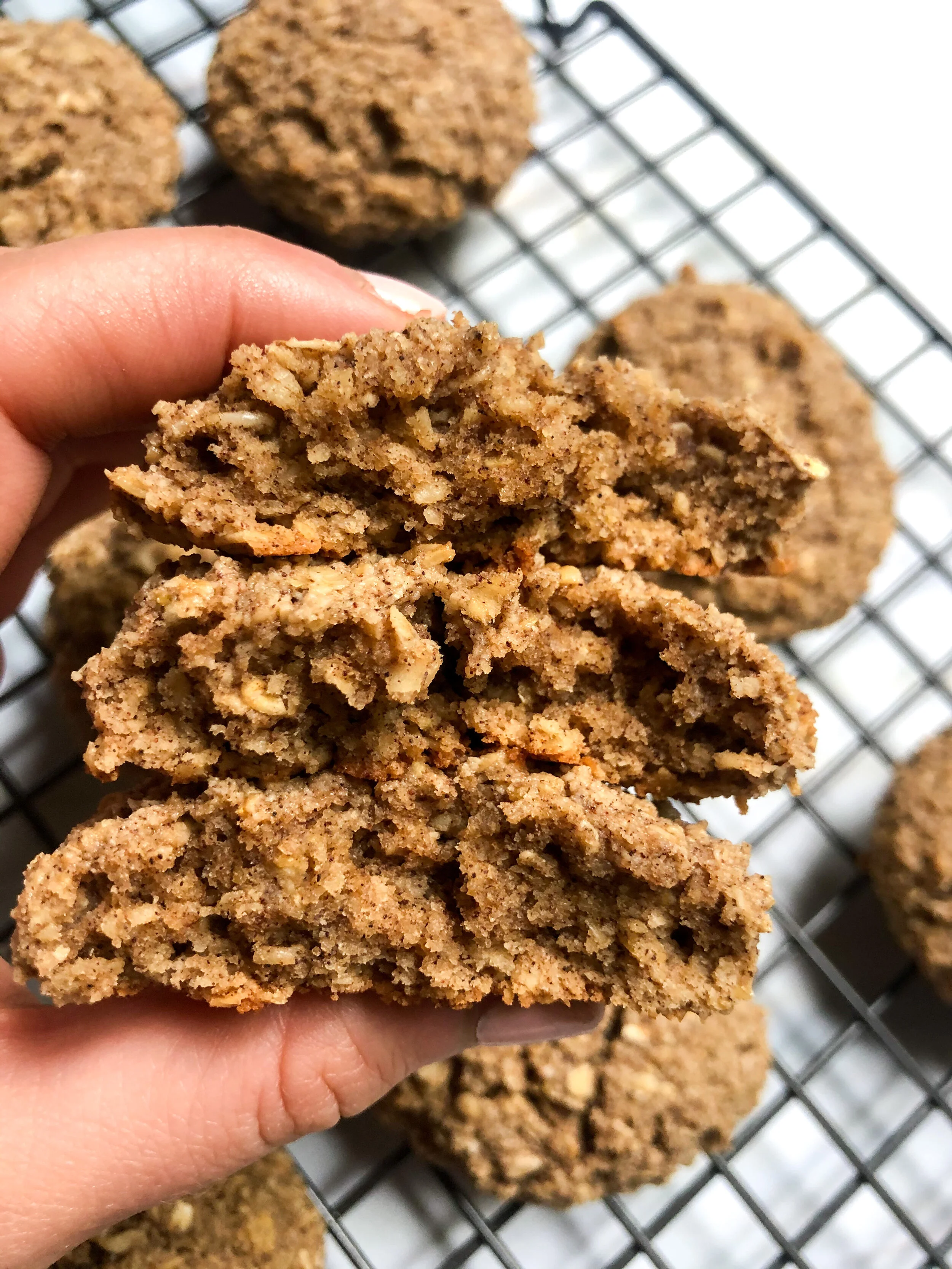 Cinnamon Oatmeal Cookies