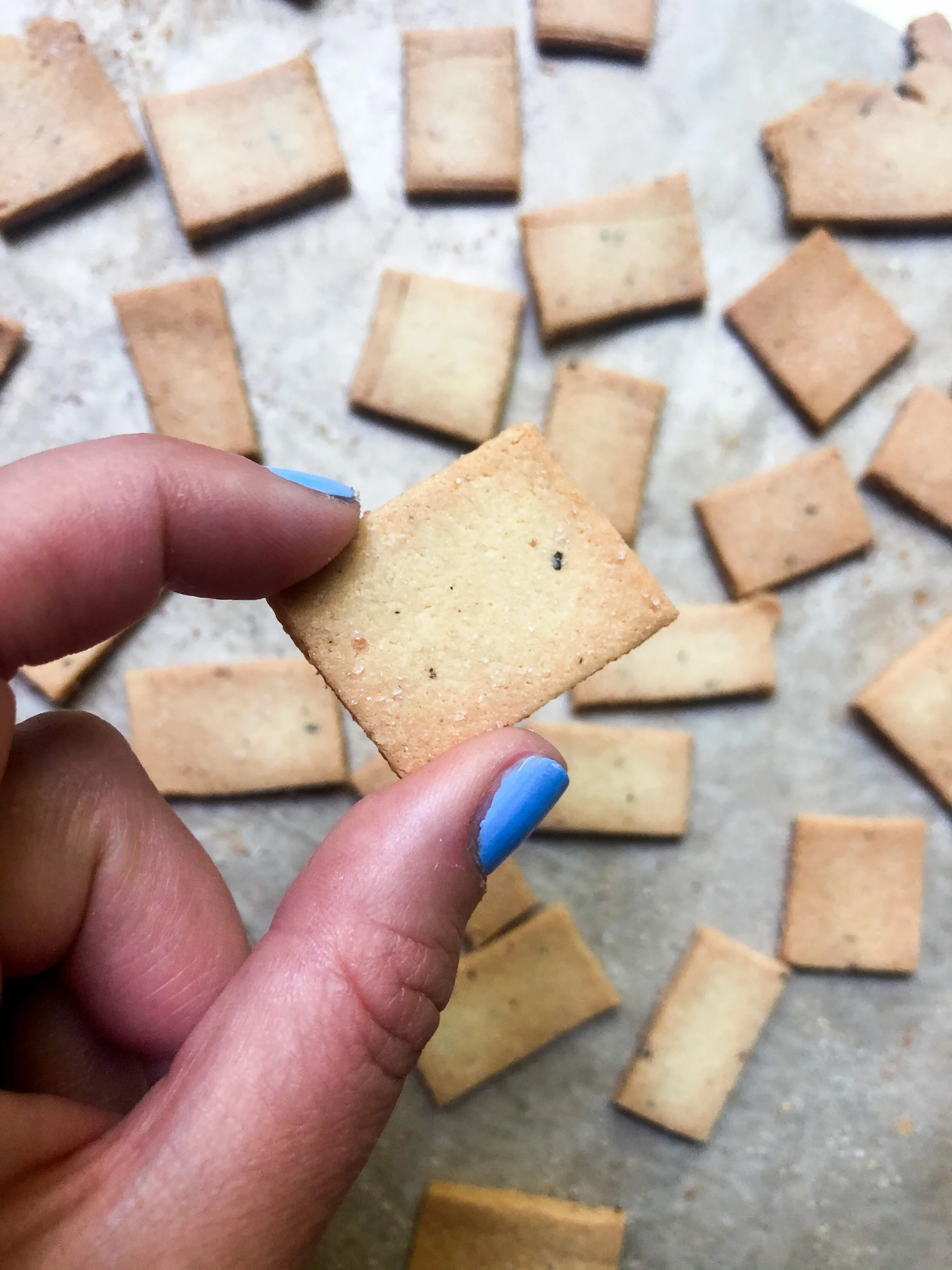Almond Flour Crackers 