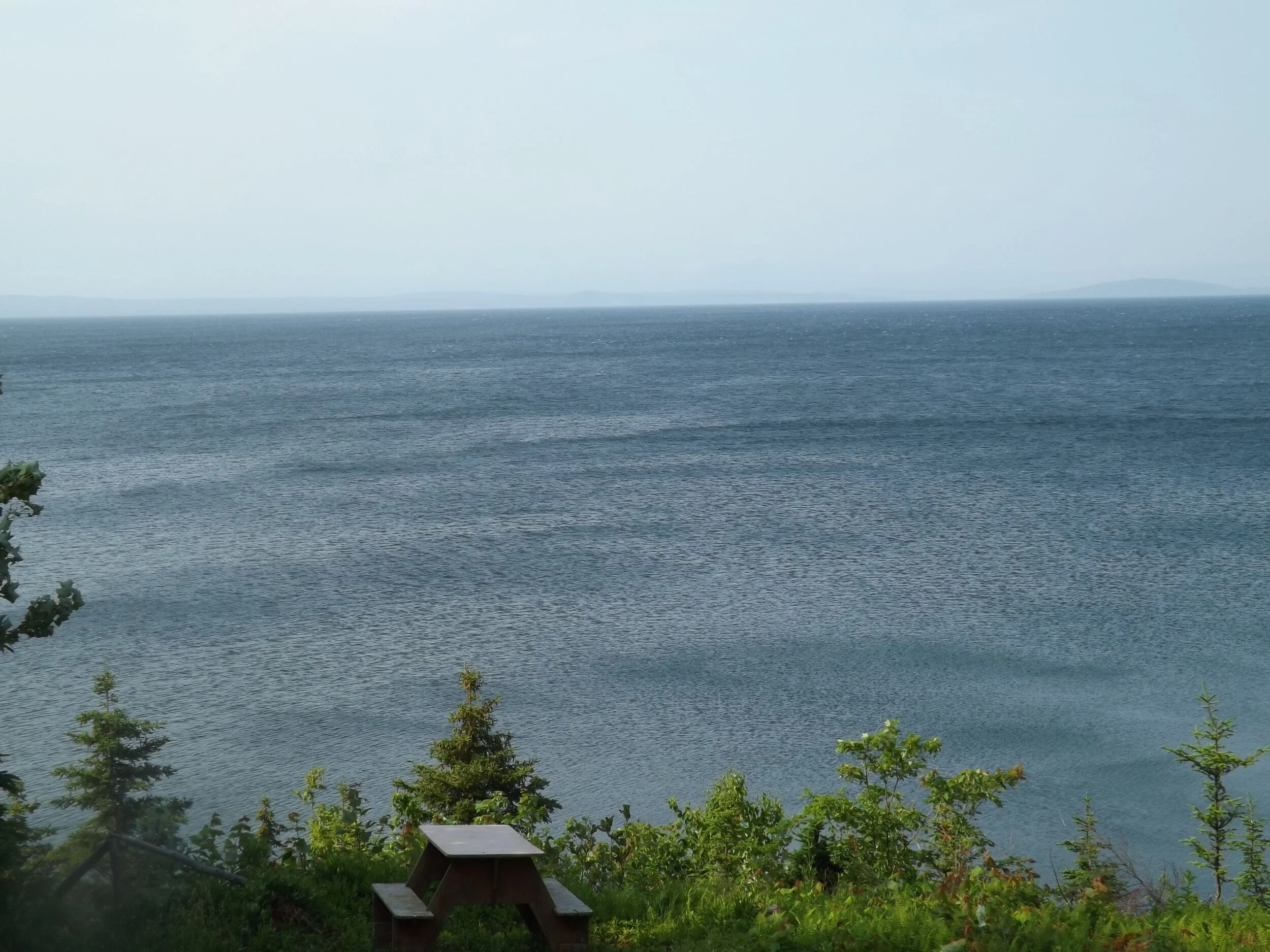 view from log cottage.JPG