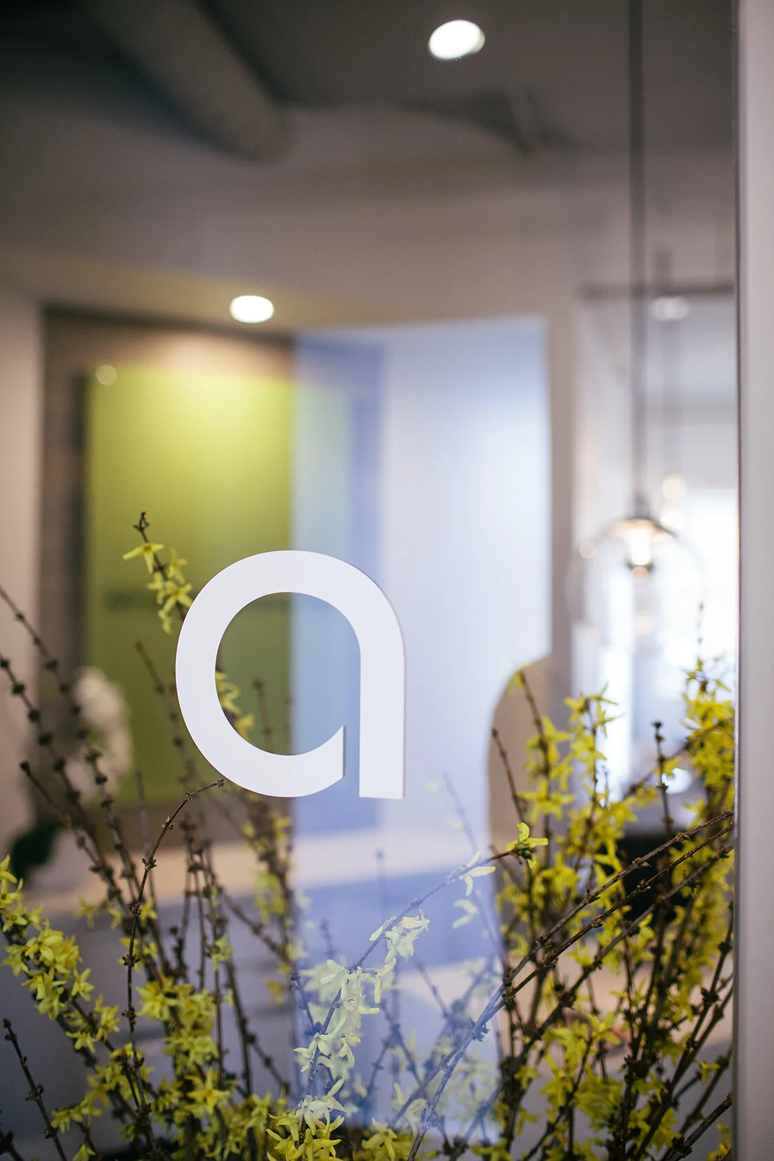 01.02_Advanced.Aesthetics_Logo.jpg