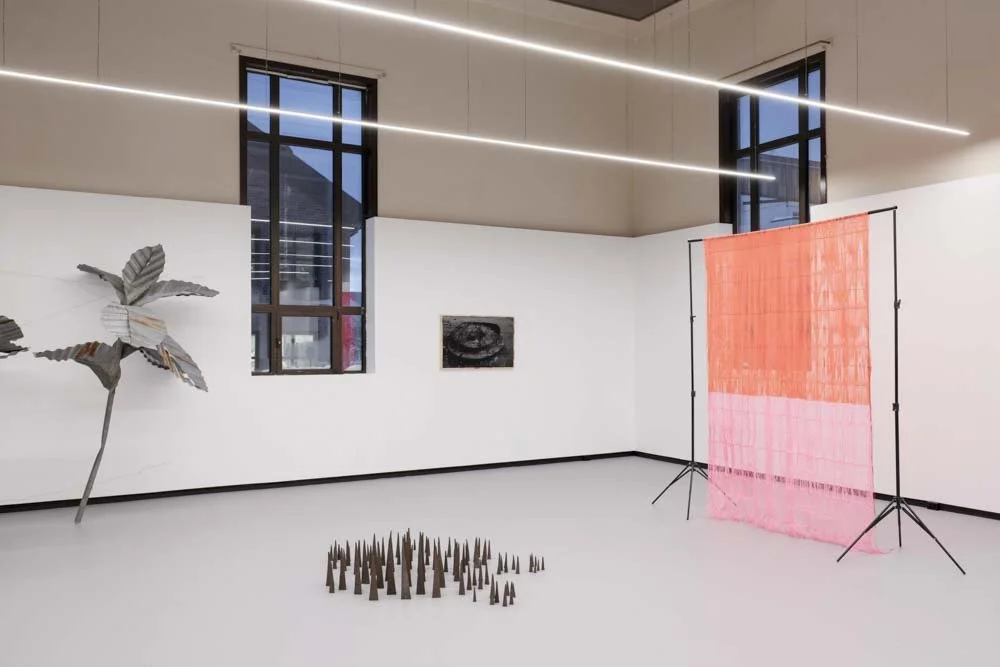   Foto:    Dan Mariner    /    NŌUA   