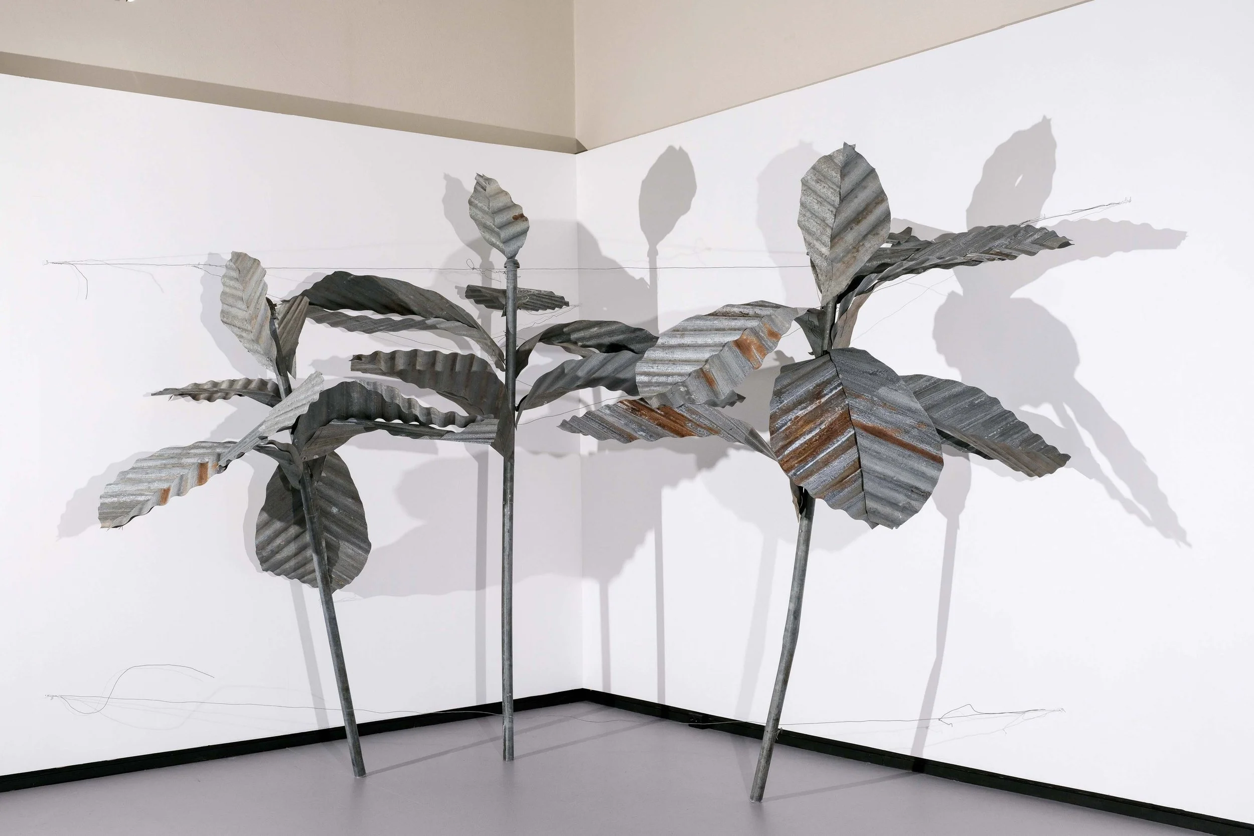   Johannes Engelsen Espedal: Bunndekker (2025). Foto:    Dan Mariner    /    NŌUA   