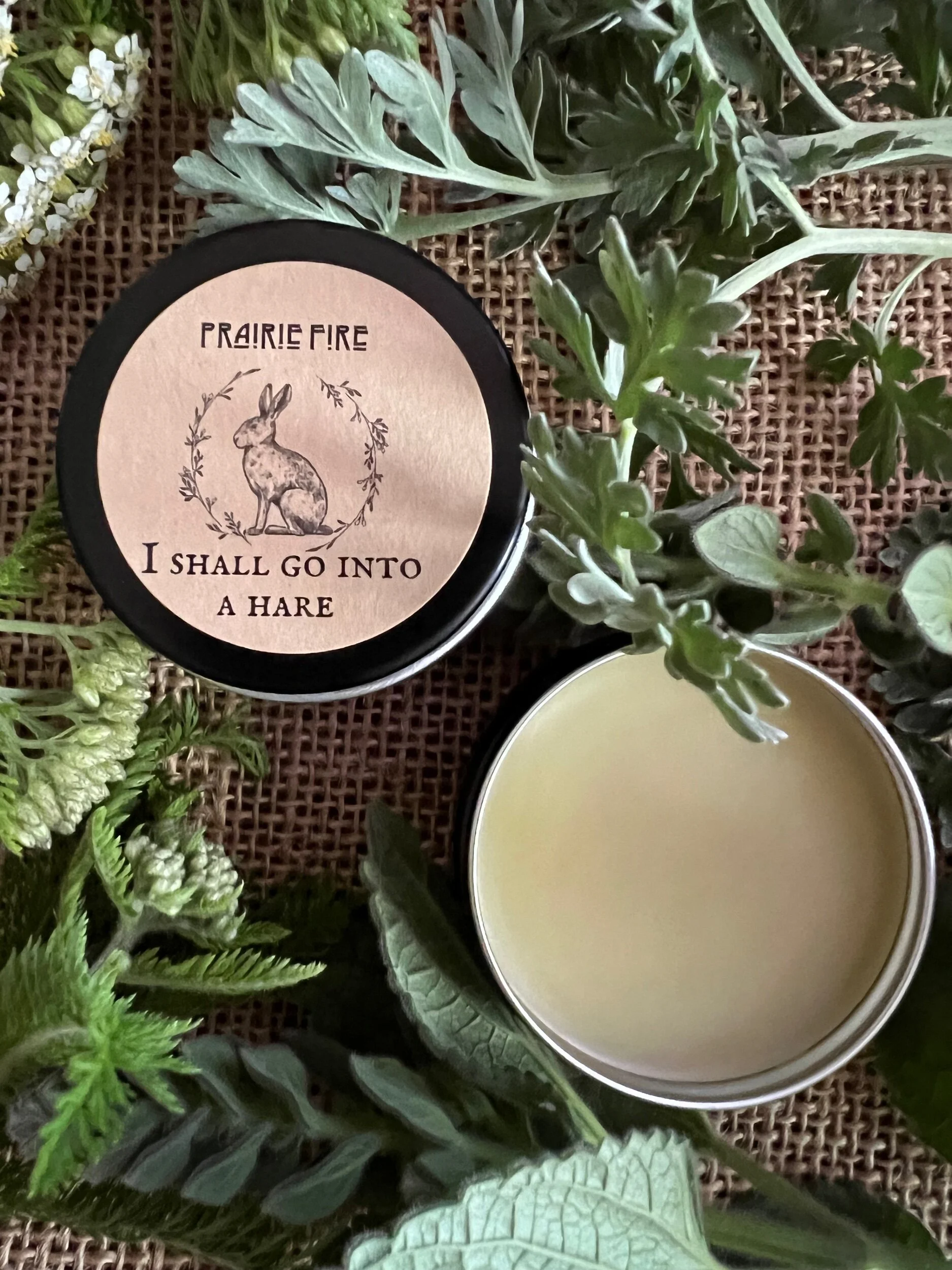 6DA05E33-D800-4C80-B7EF-EB63764D873F