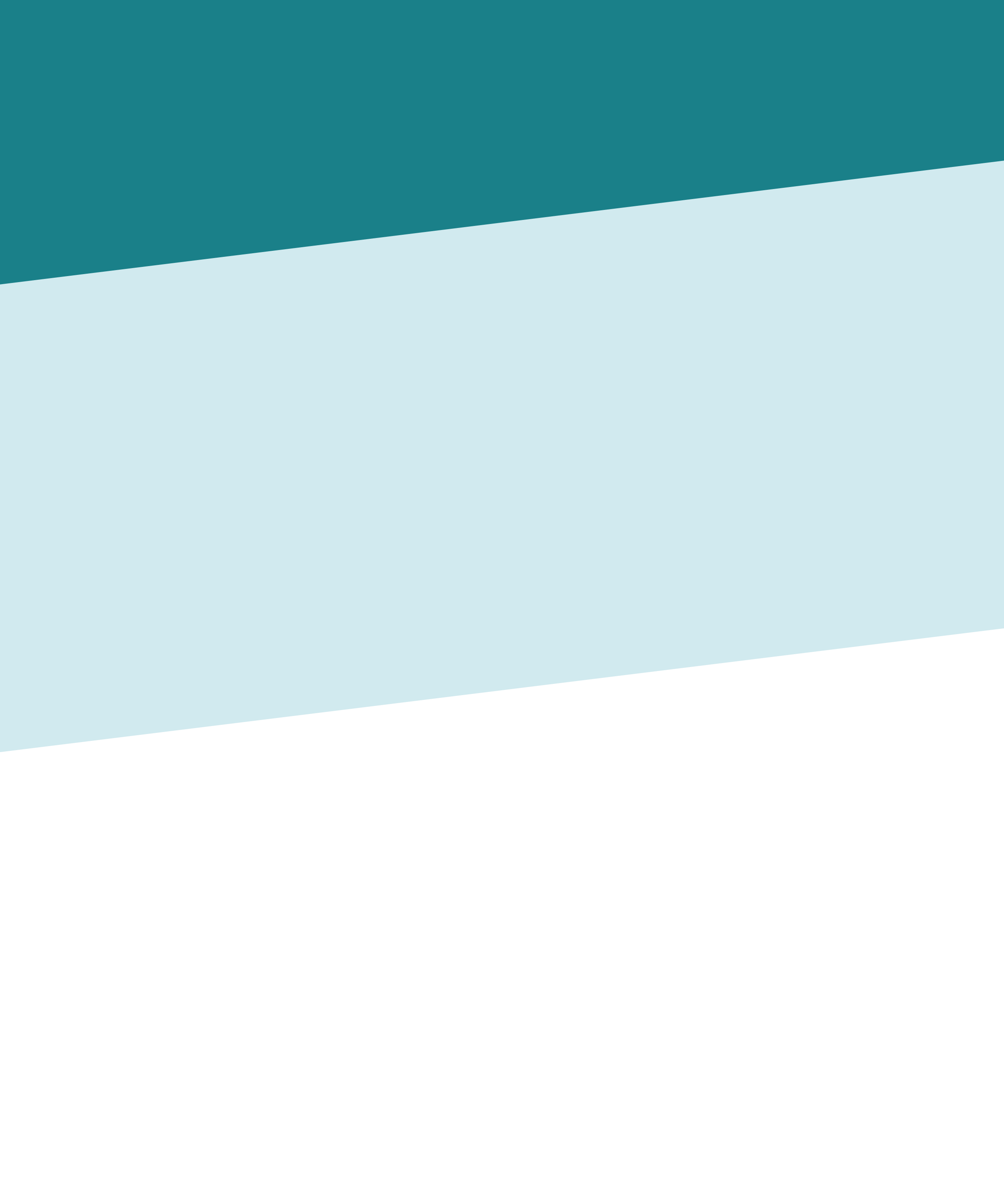 background-2.png