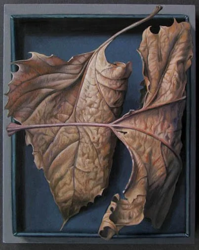  Sycamore Oil on Wood Block 8 3/4” x 7” 2025 $1,950 