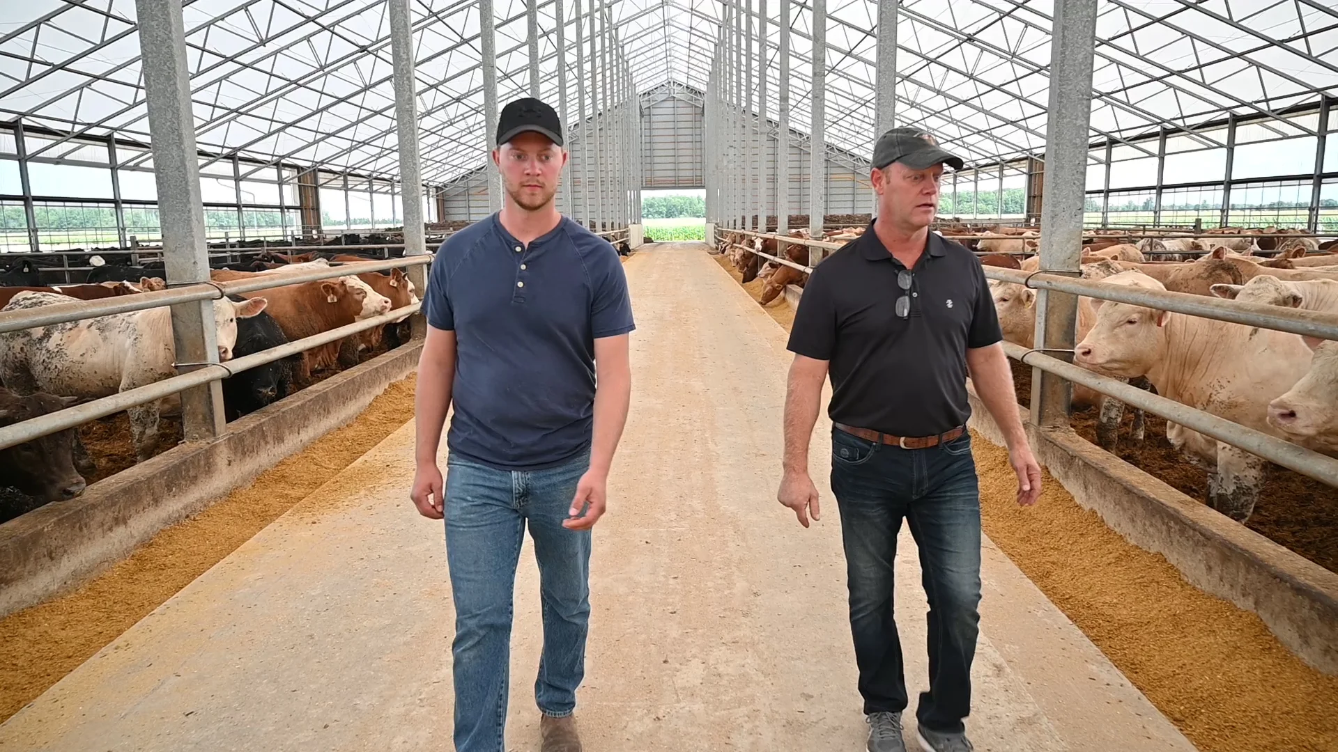 WeCover Structures Premium Steel Structures WeCover Fabric Barns