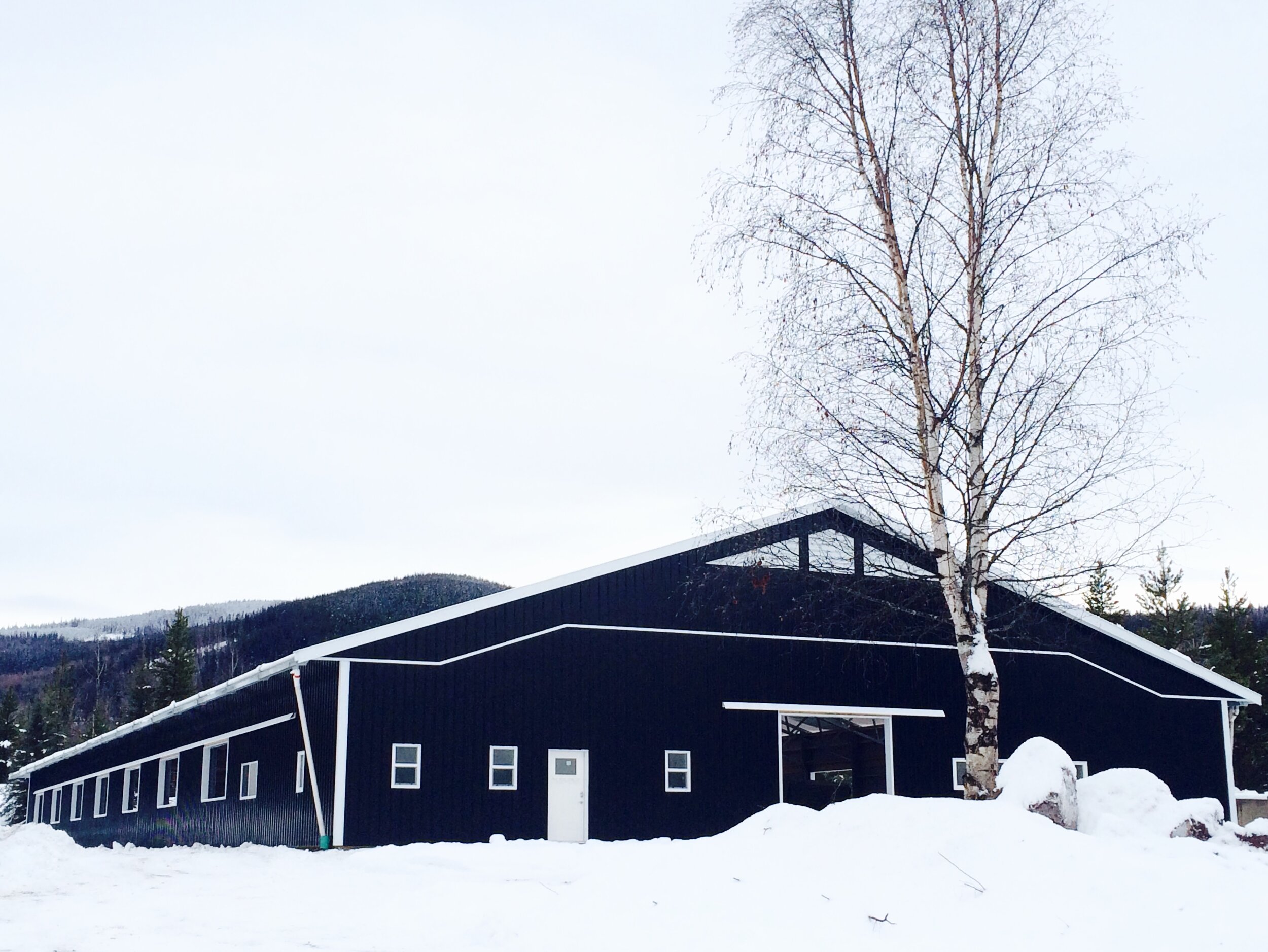 A custom 80’ x 204’ fabric roof metal riding arena in Smithers, British Columbia.