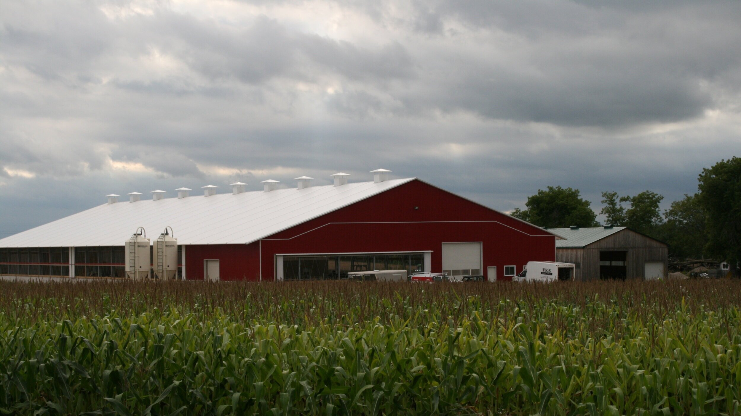 A custom 100’x 240’ fabric roof metal frame dairy barn in Grand Valley, Ontario.