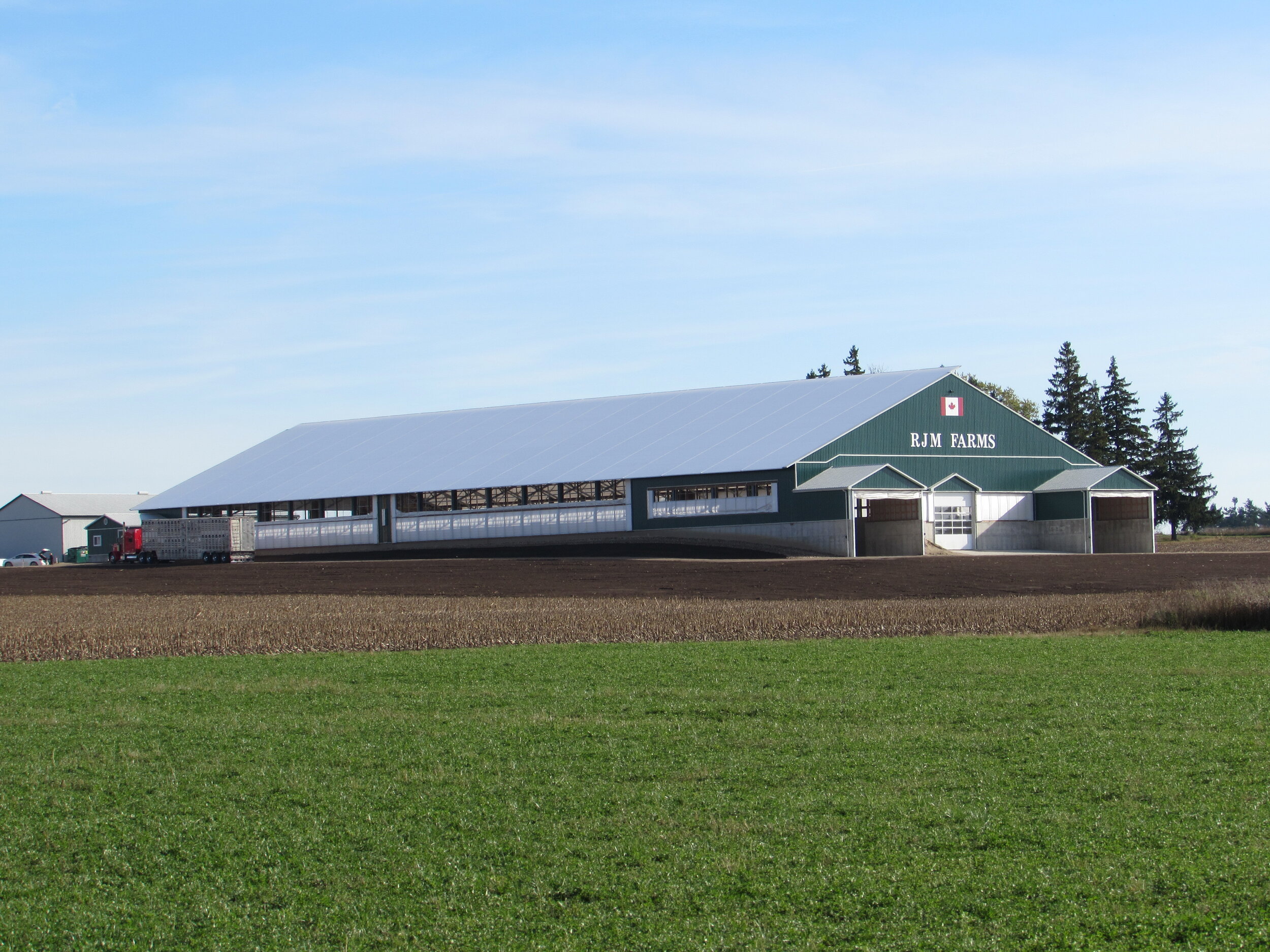A custom 120’ x 306’ fabric roof metal beef barn in Elmira, Ontario.