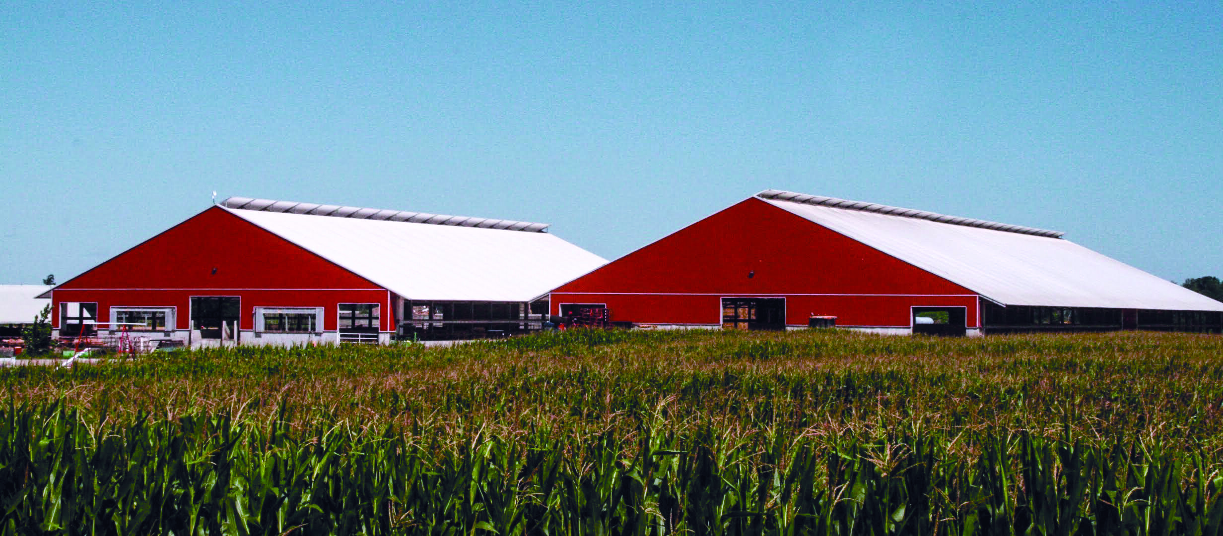 Two custom fabric roof metal livestock barn in Wyoming, Ontario.