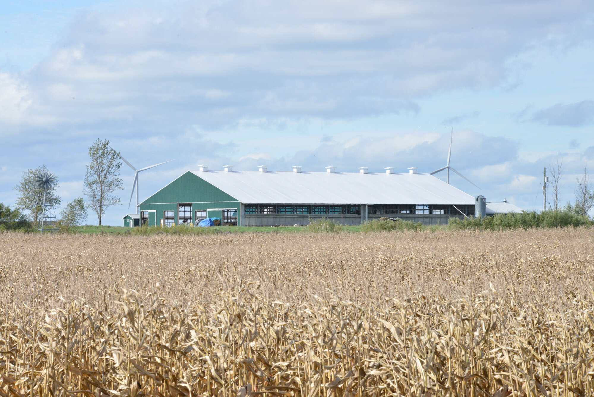 A custom 100’x 204’ fabric roof metal dairy barn in Dunnville, Ontario.