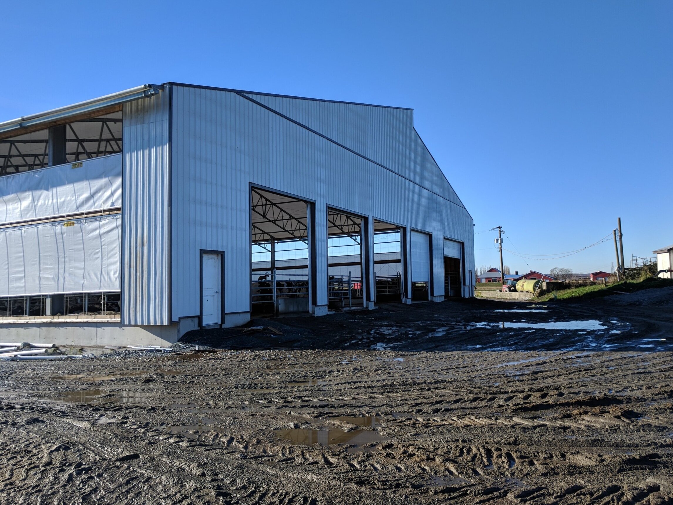 A custom 116’x 240’ fabric roof steel dairy barn in Abbotsford, British Columbia.