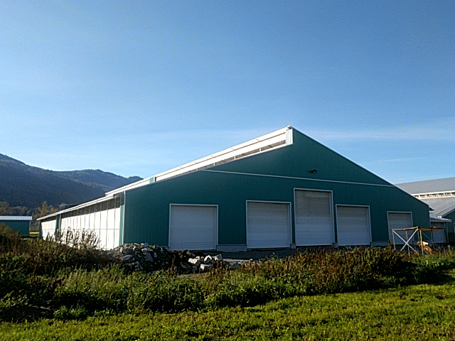 A custom 106’x 236’ fabric roof steel dairy barn in Chilliwack, British Columbia.