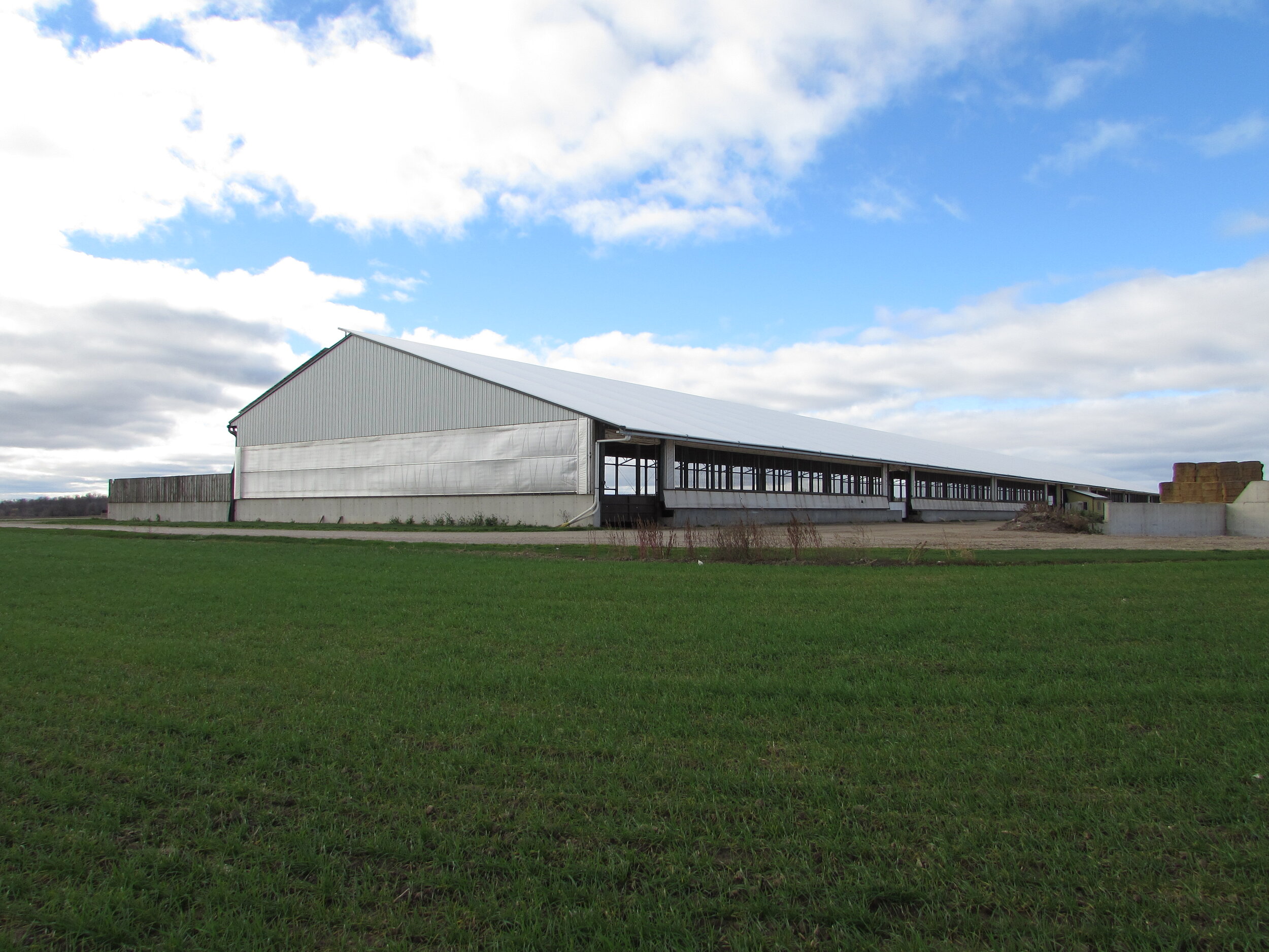 A custom 96’x 736’ steel roof metal barn in Ailsa Craig, Ontario.