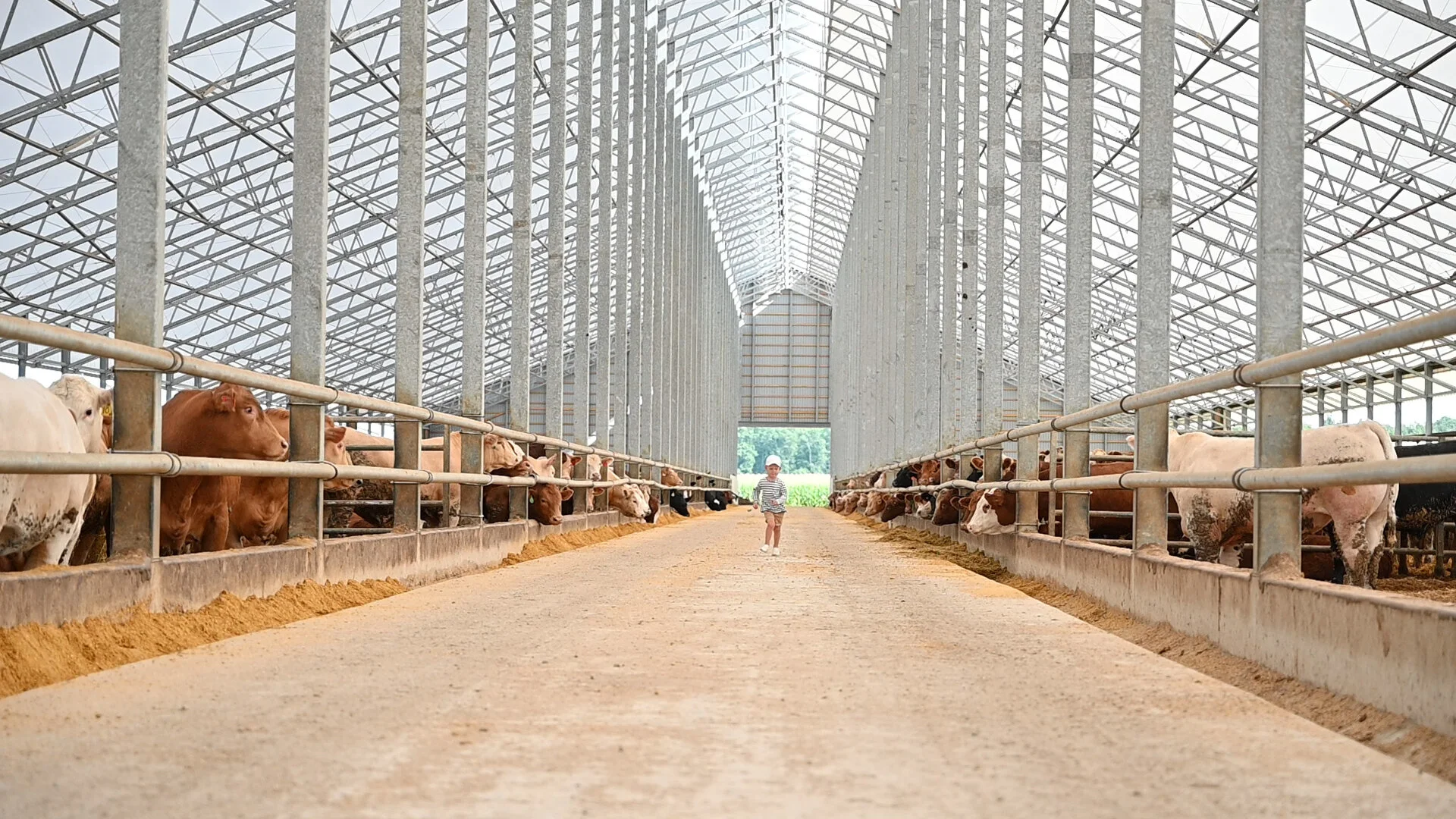 WeCover Structures Premium Steel Structures WeCover Fabric Barns