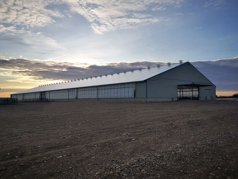 A custom 105’ x 498’ fabric roof metal beef barn in Gem, Alberta.