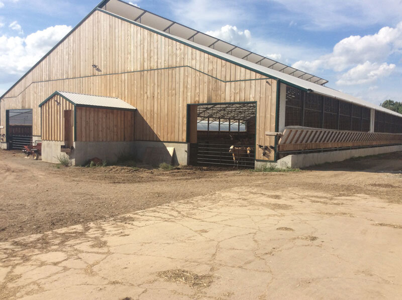 A custom fabric roof wood and metal beef barn in Meaford, Ontario.