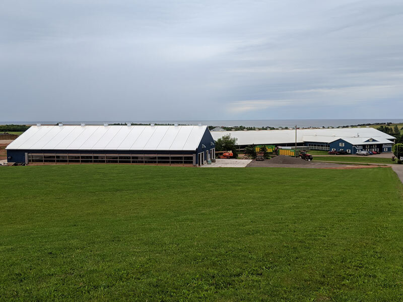 A custom fabric roof metal frame dairy barn in Charlottetown, Prince Edward Island.