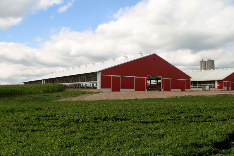 A custom fabric roof steel frame dairy barn in Atwood, Ontario.