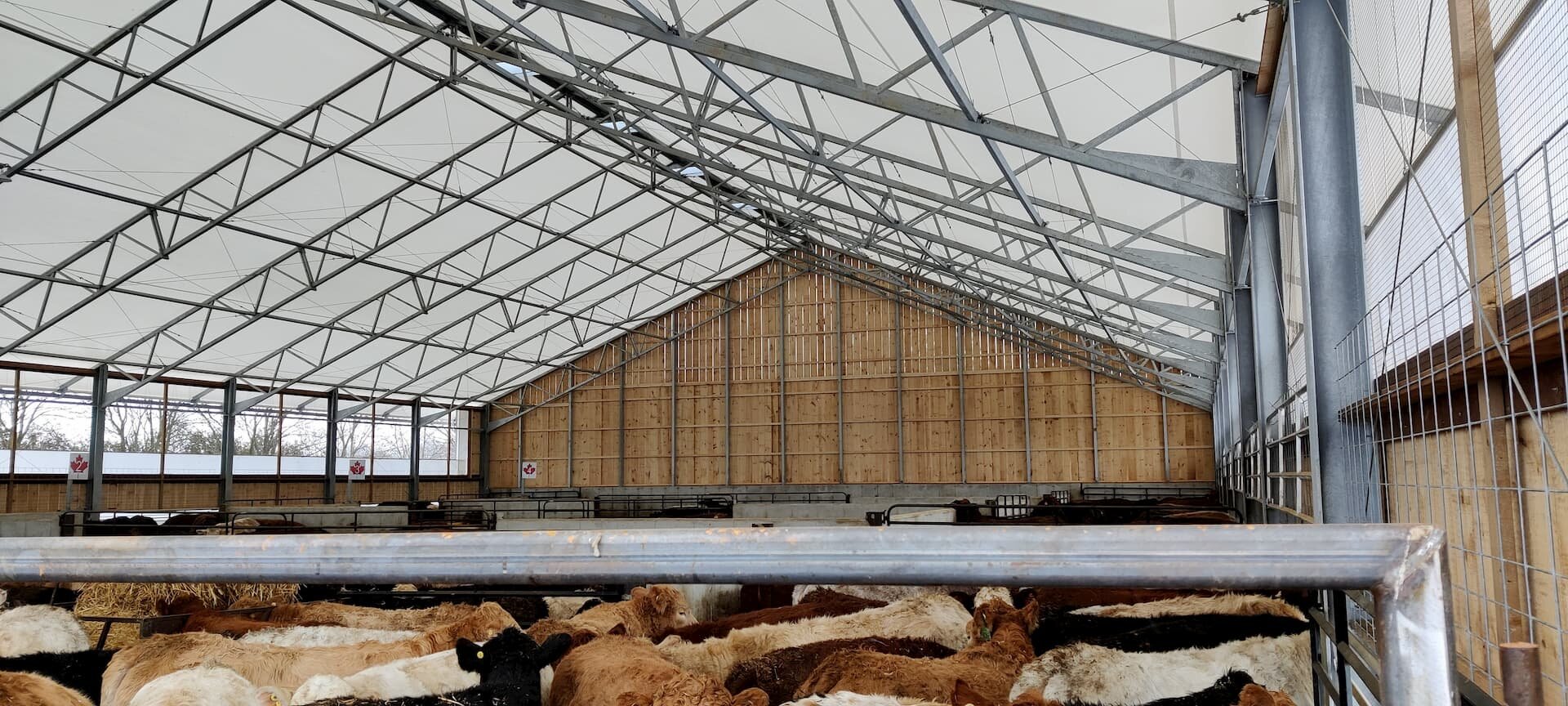 A custom 100’x 146’ fabric roof metal and wood beef barn.