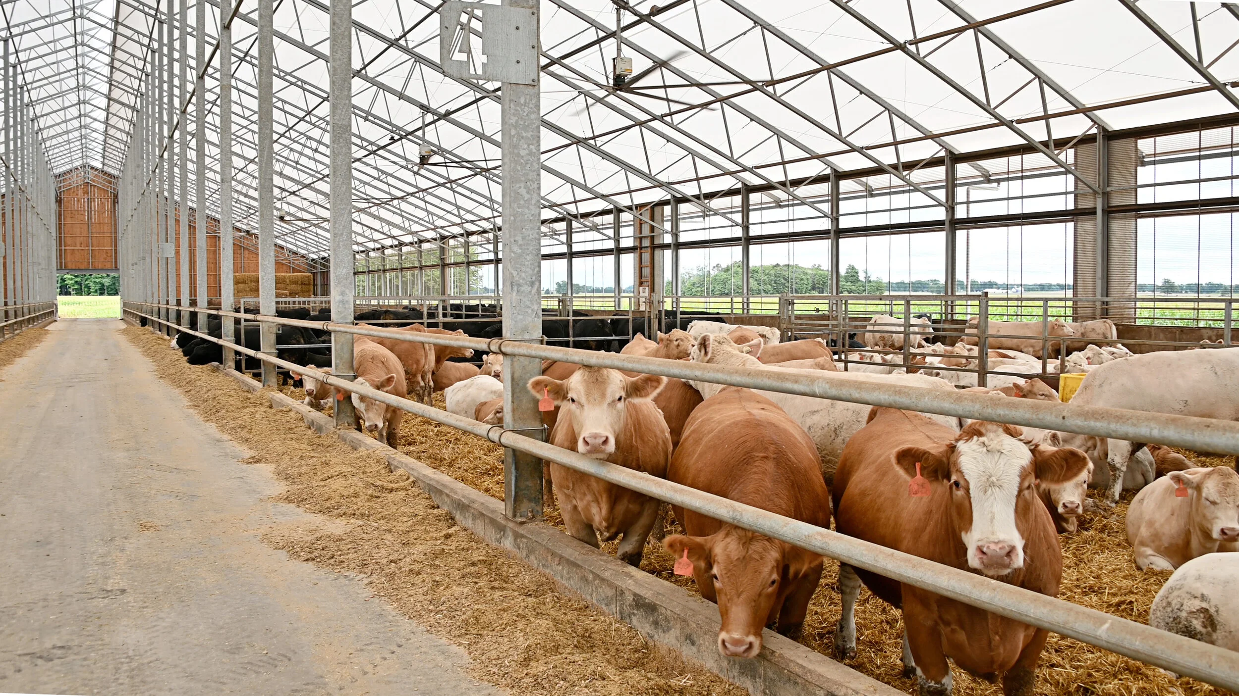 CONDENSATION &amp; AIRFLOW IN FABRIC ROOF BARNS