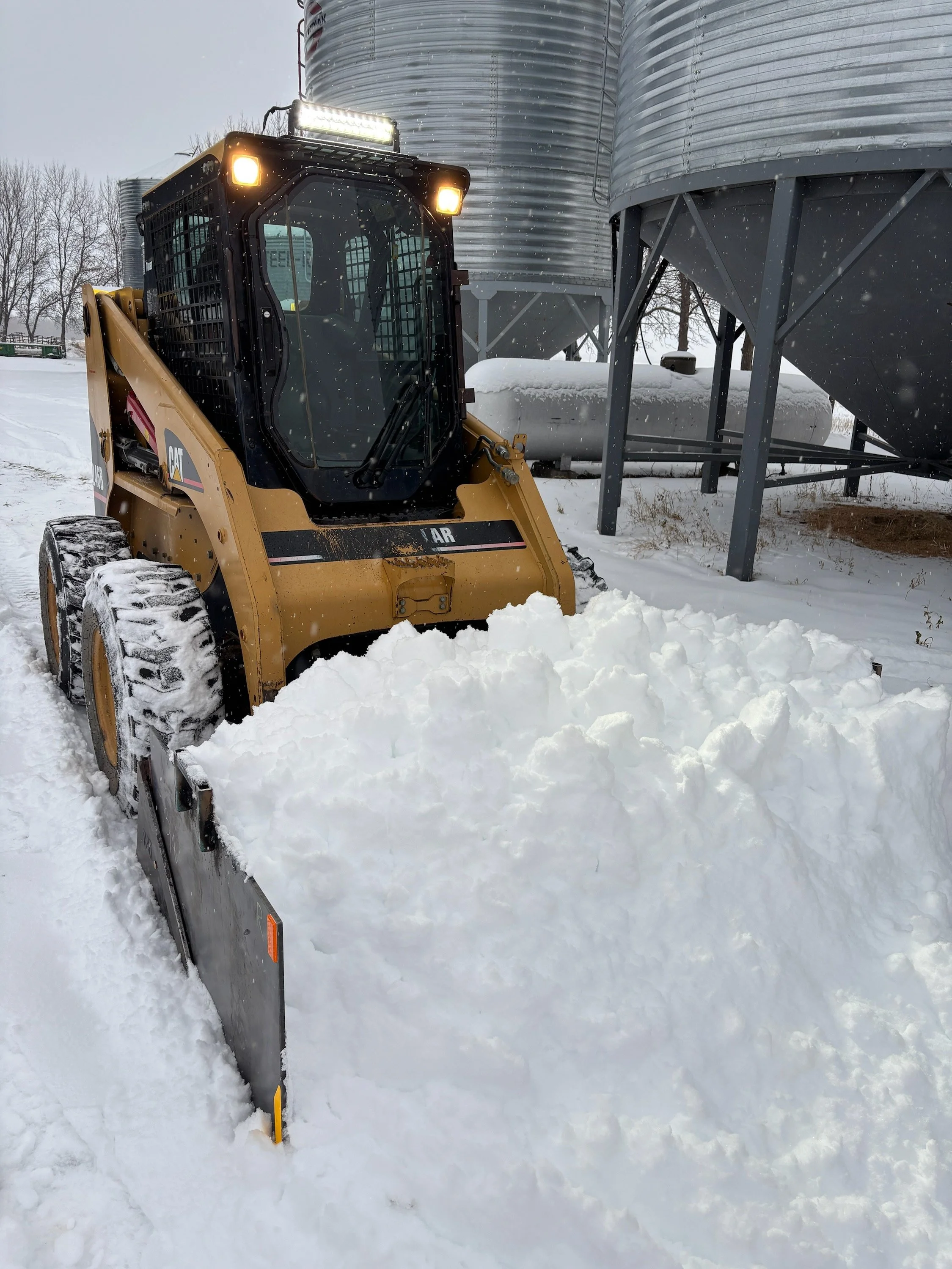 Snow Removal