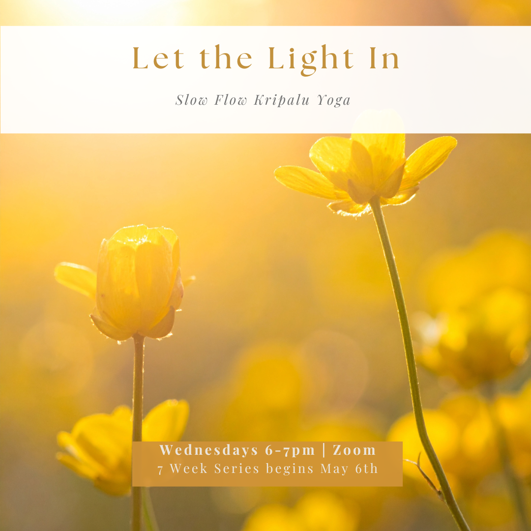 Let the light in square.png