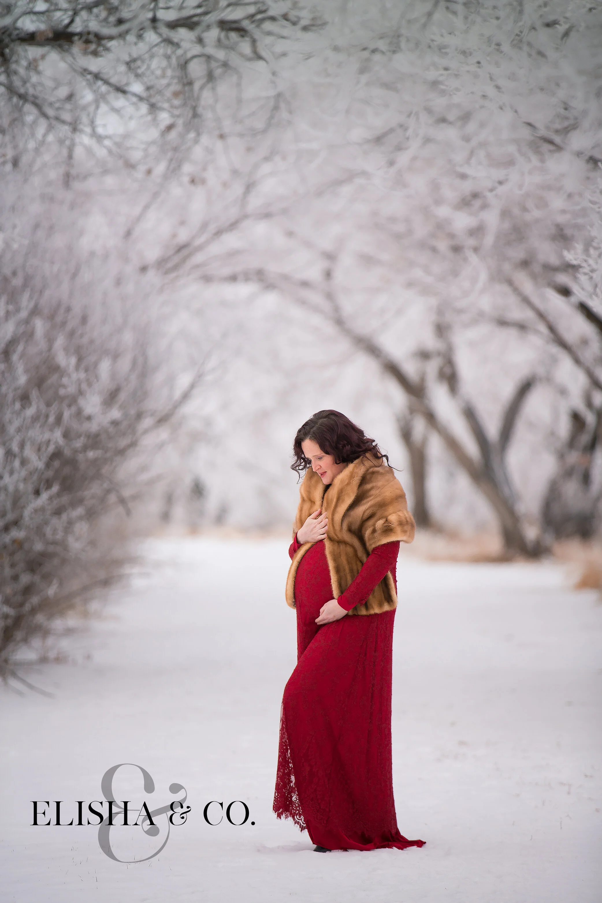 It Is A Winter Wonderland Pregnancy Elisha Co Photography