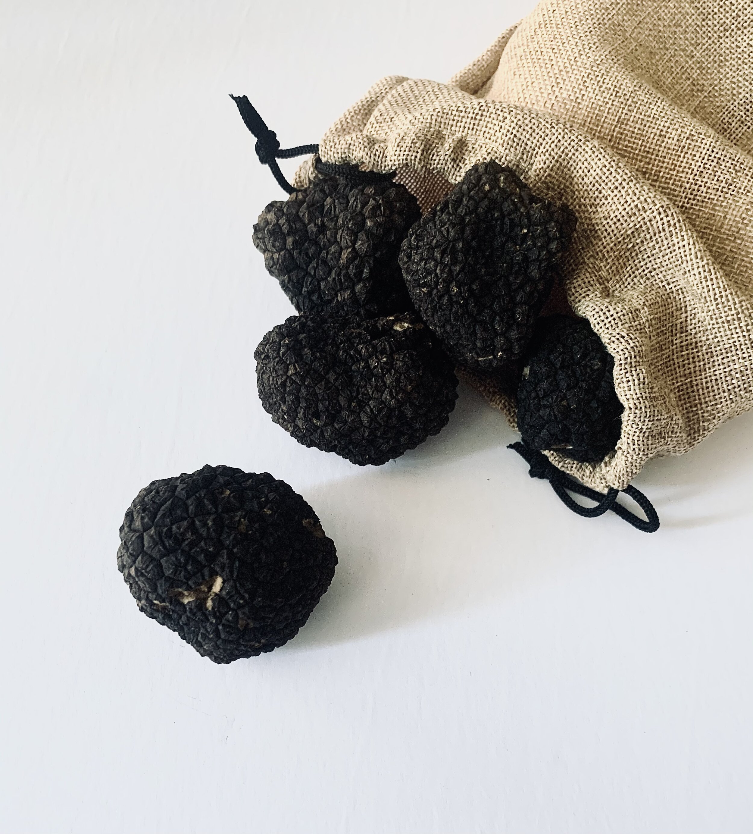Fresh Black Truffles 