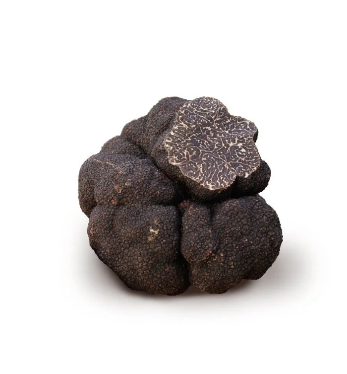 Fresh Truffles