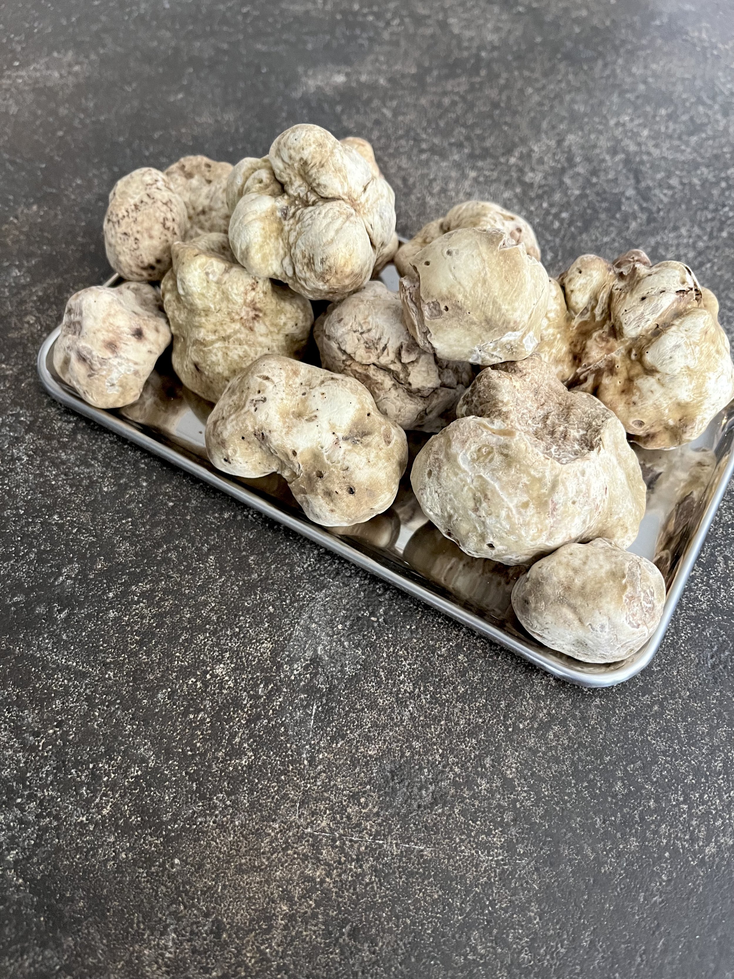 IMG_white truffles.jpg
