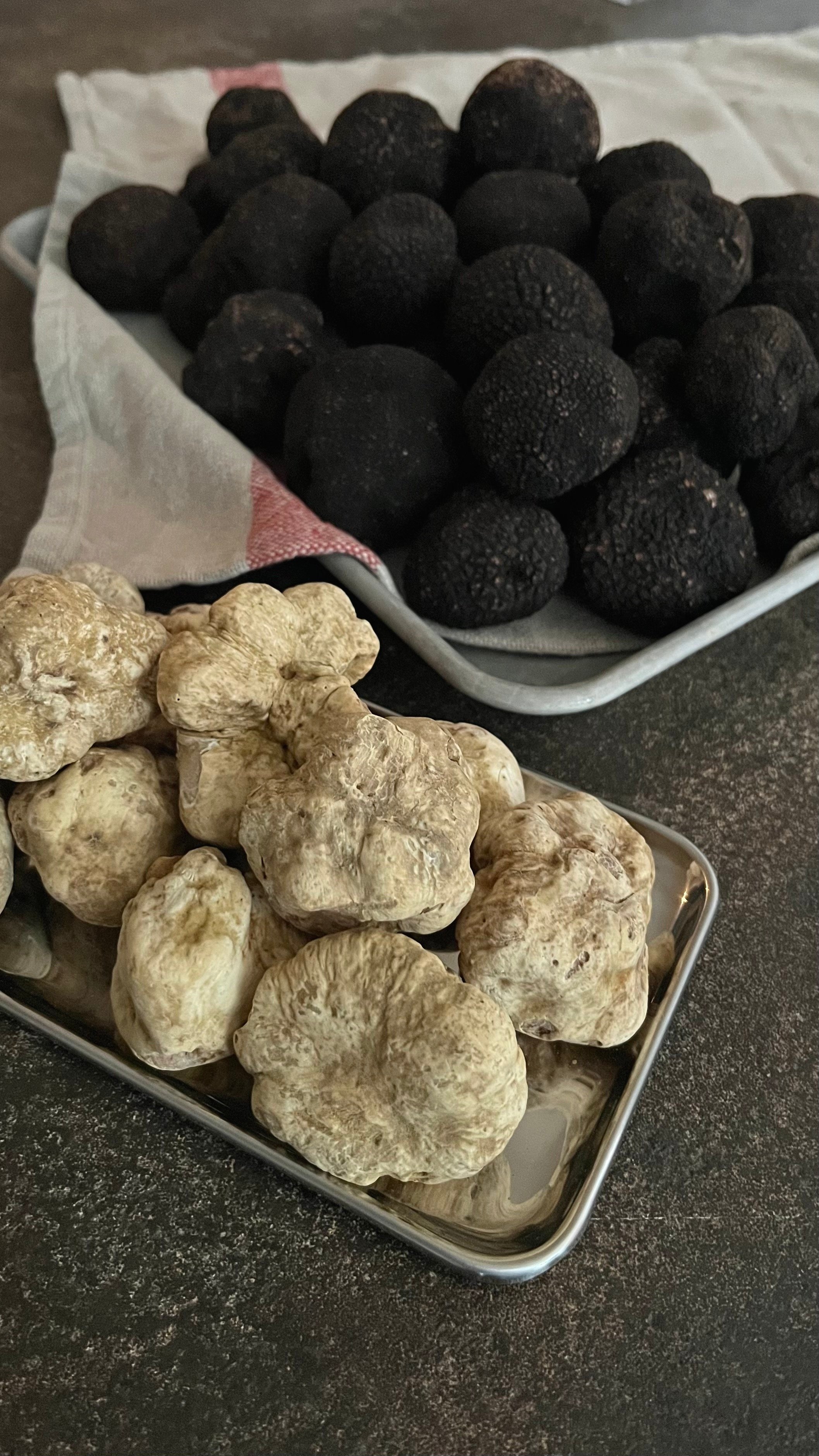 IMG_2605+black+%26+white+truffle.jpg