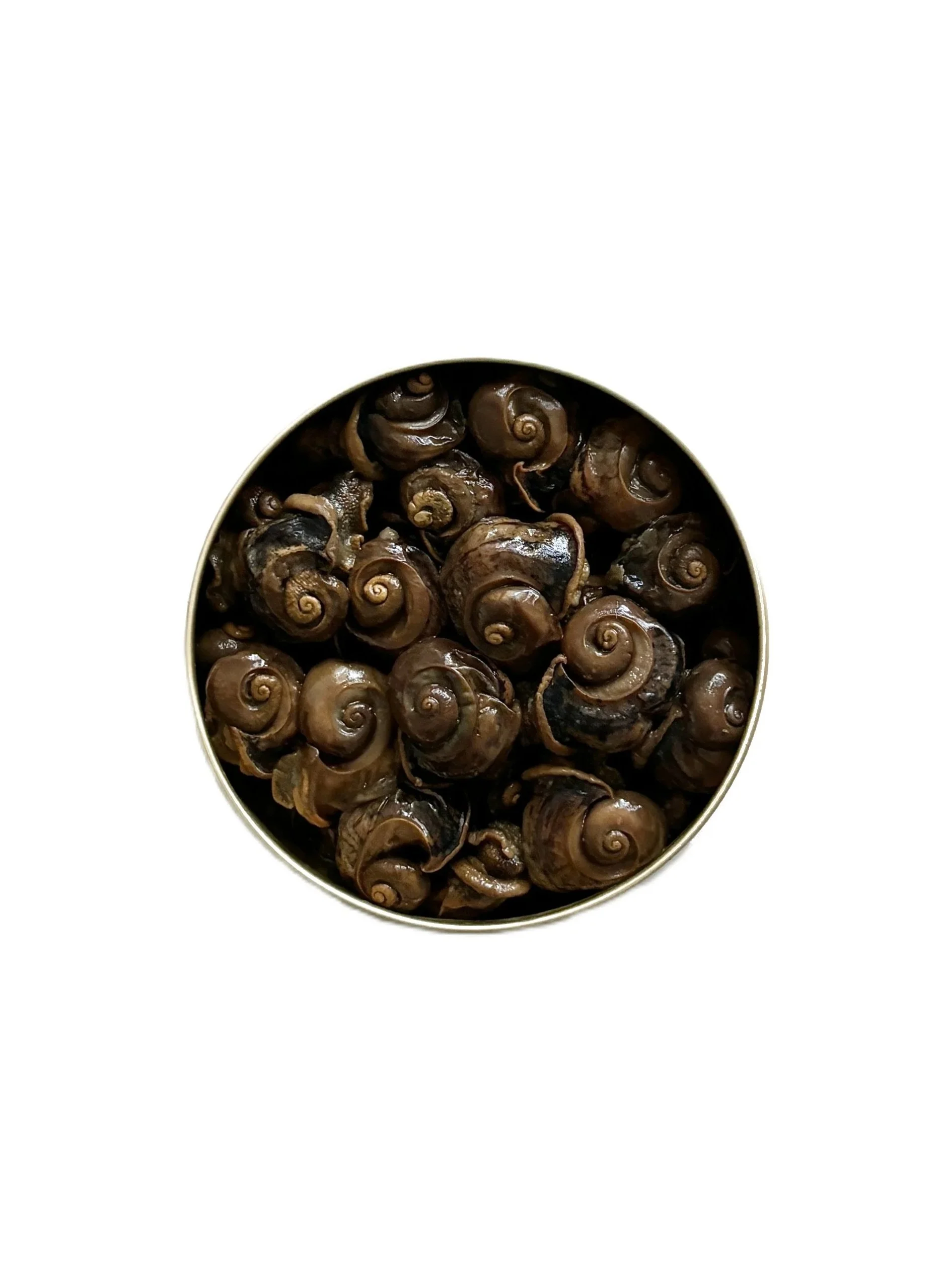 IMG_fresh+snails.jpg
