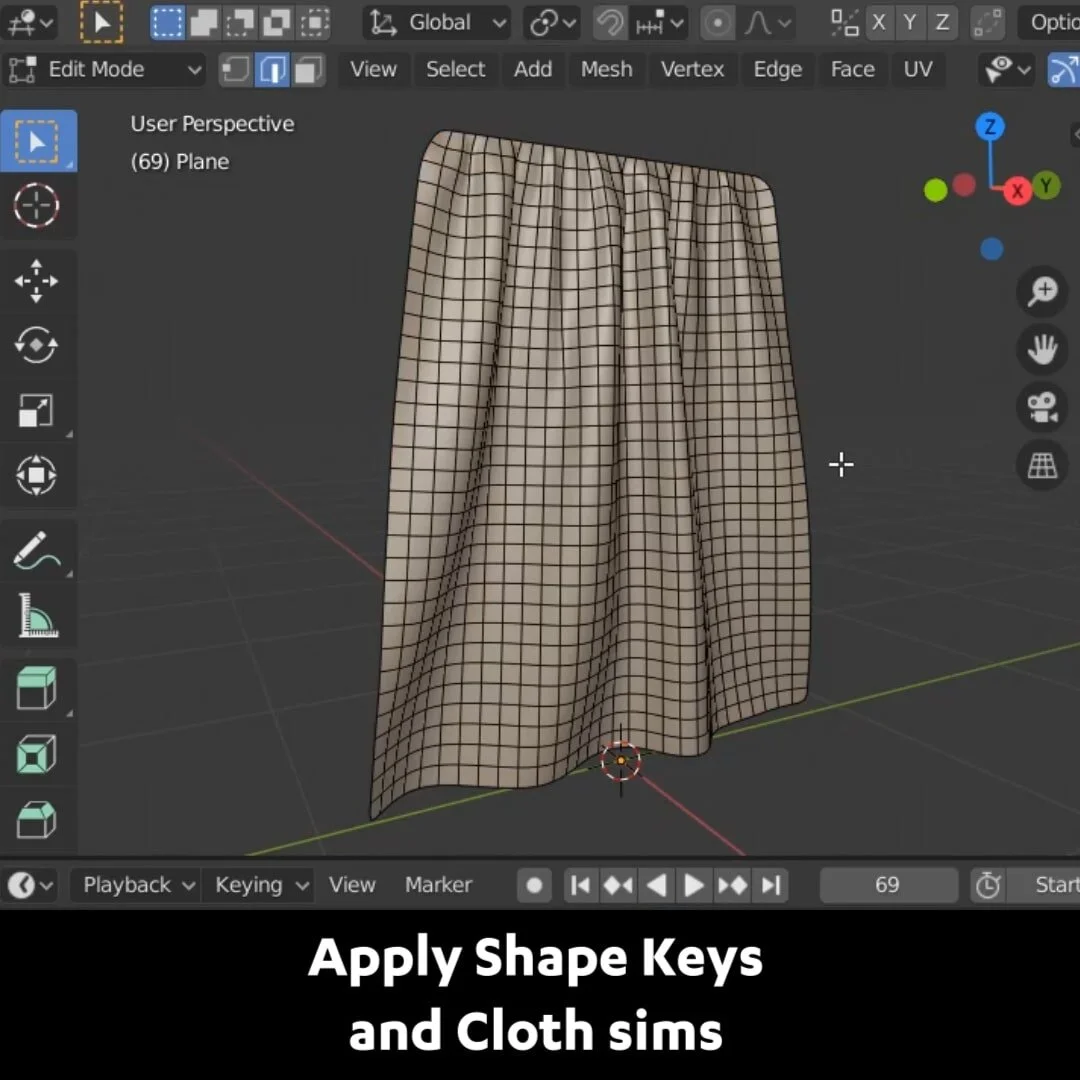 Apply Shape Keys and Cloth Sims