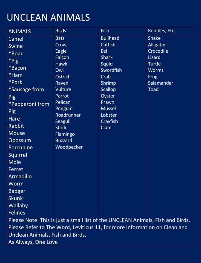 Lists Of Clean And Unclean Foods THE REMNANT BIBLE SCHOOL CHURCH lists-of-clean-and-unclean-foods-the-remnant-bible-school-church